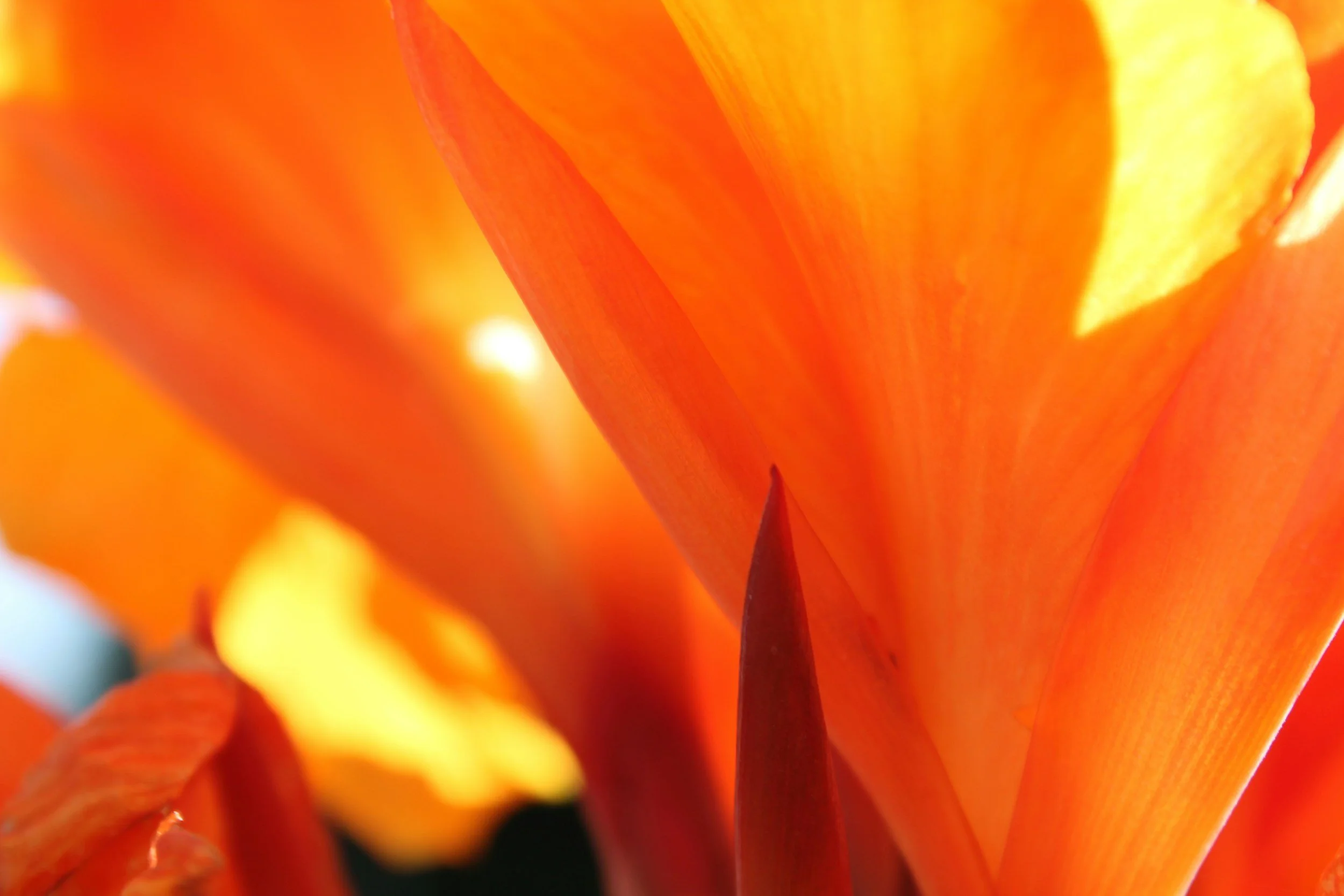 The Key Questions of Radiance