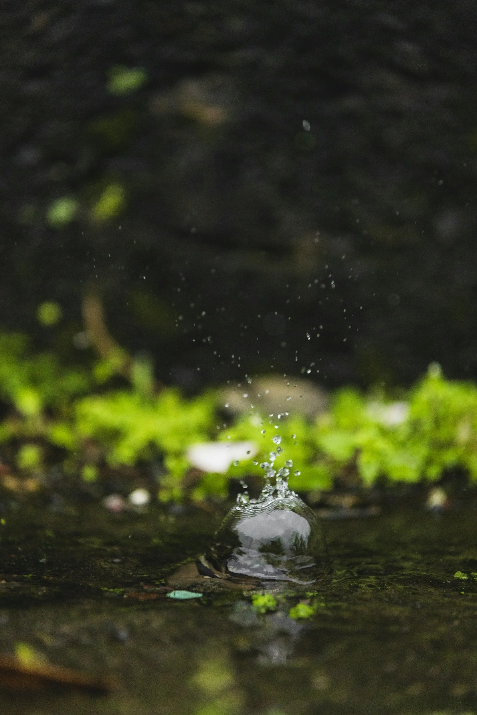 12 Reasons to Ask Yourself:                                 Is Fasting Right for You?