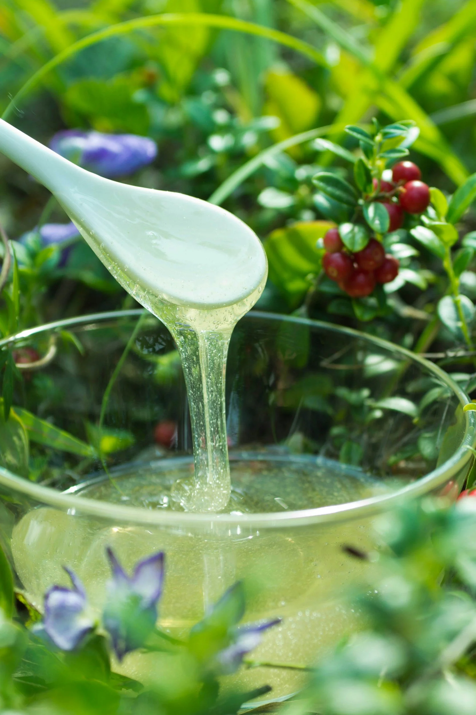 Goin’ Wild for Wild Living Foods