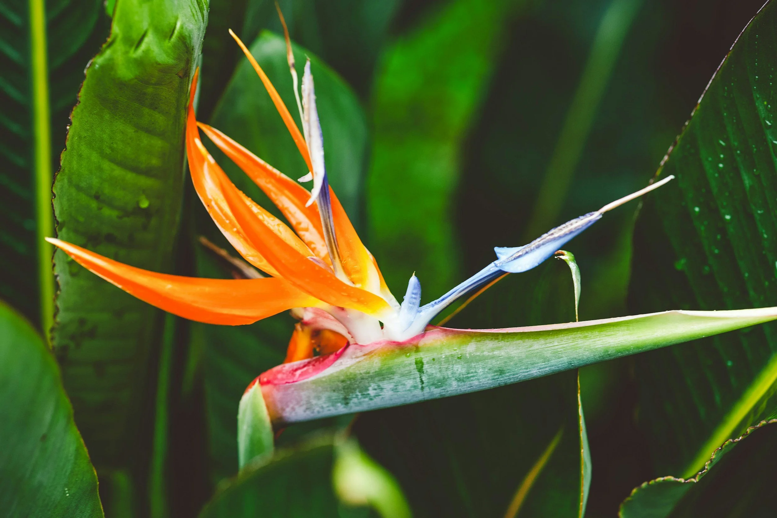 unsplash-image-qpN-sglm8DI.jpg