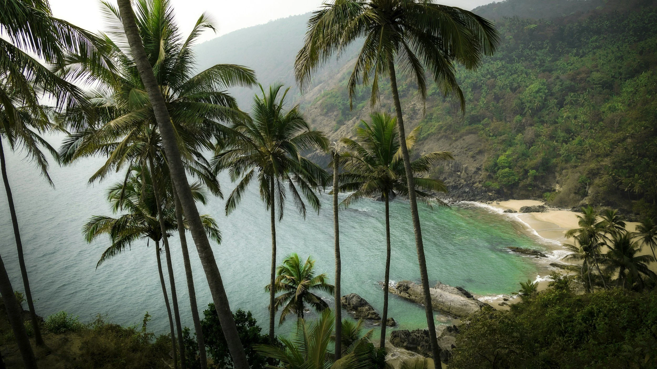 unsplash-image-M5AR9jscKgM.jpg