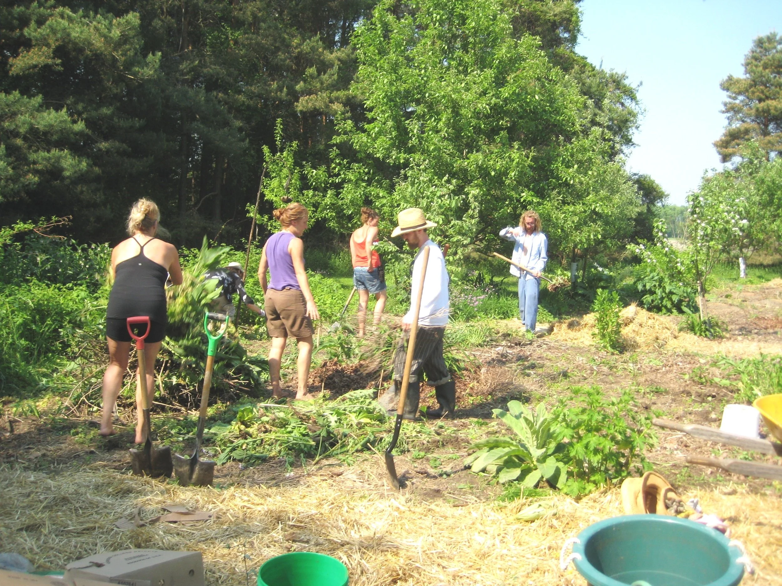 pdc forest gardening.jpg