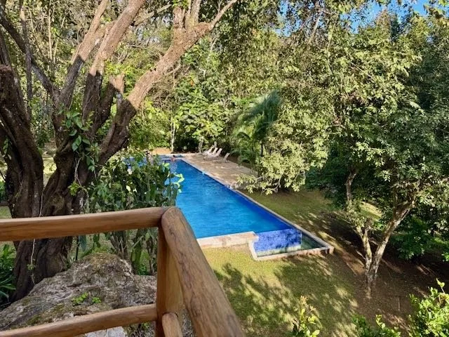 Costa Rica pool copy.jpeg
