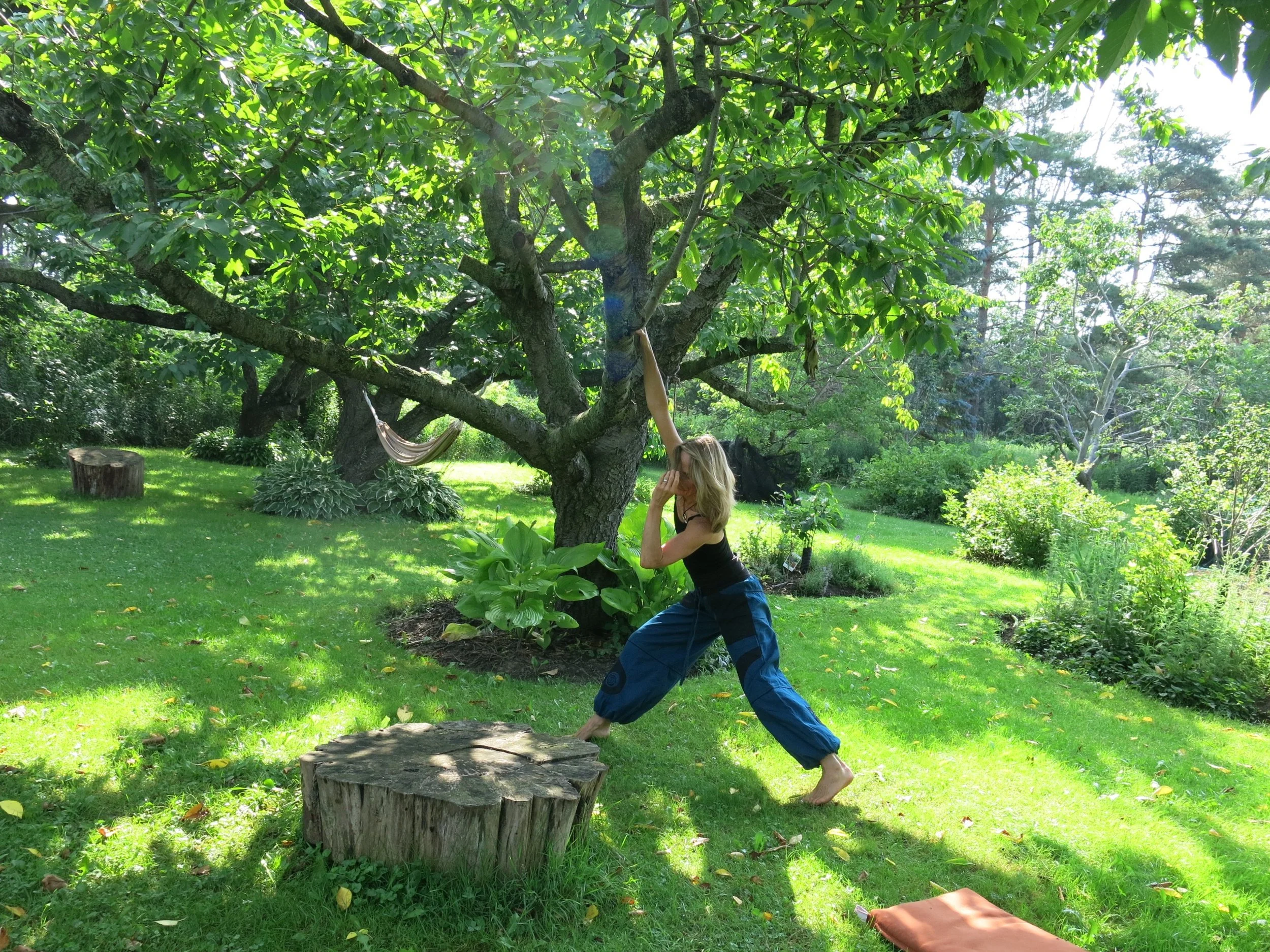 A woman practicing yoga outdoors under a large green tree, in a lush garden with sunlight filtering through the leaves.