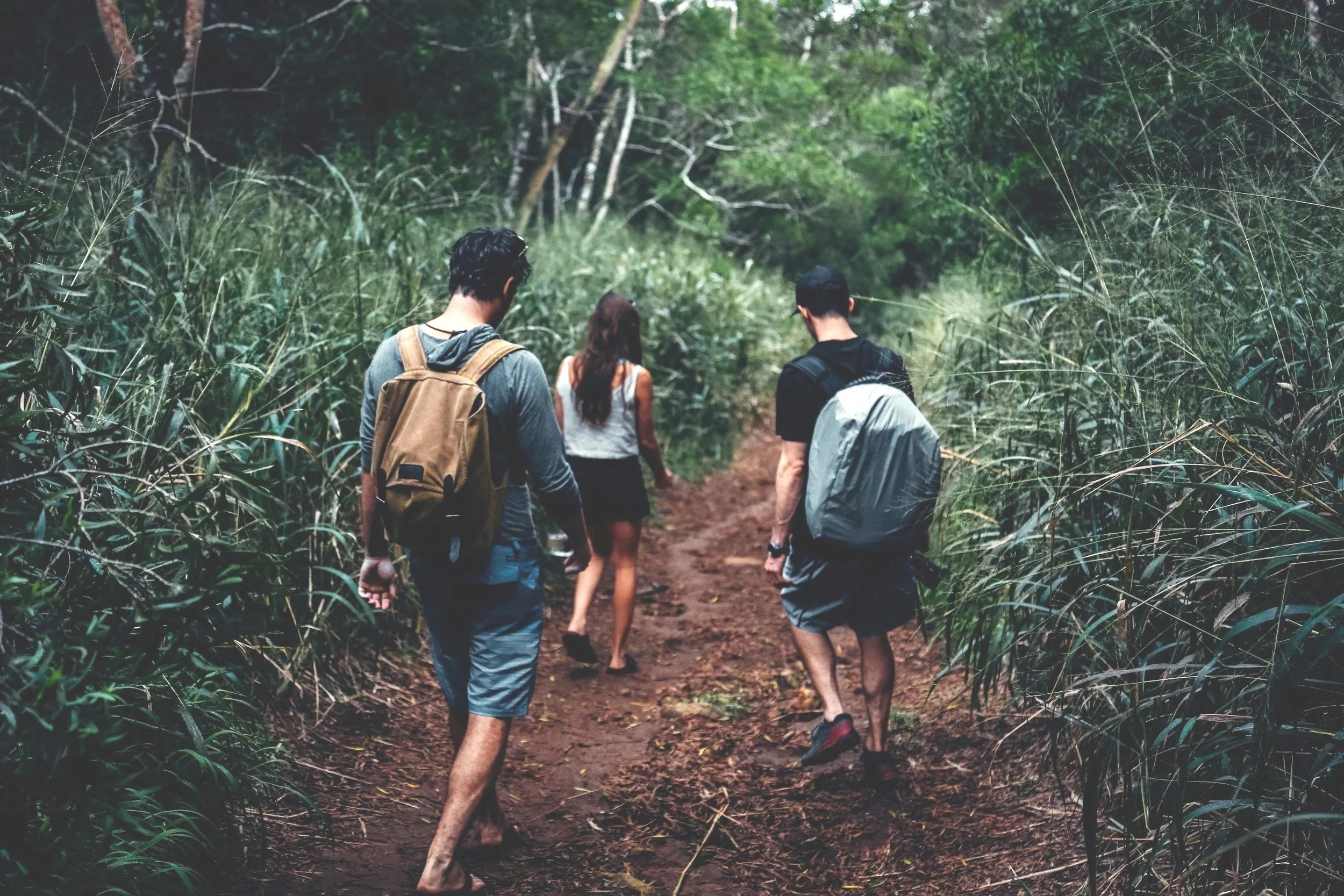 Tropical Medicine Retreat