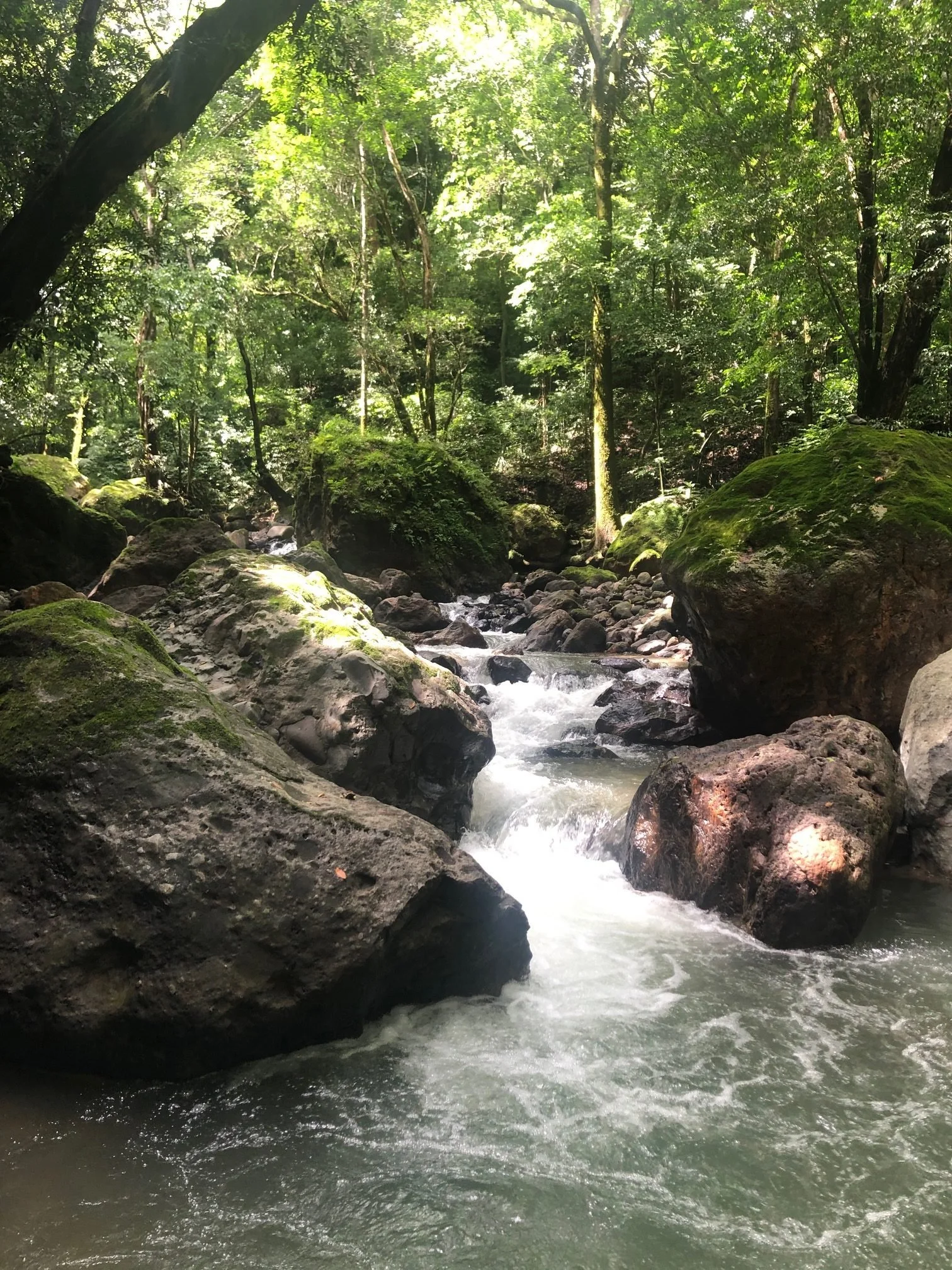 Costa Rica Machuca River.jpg
