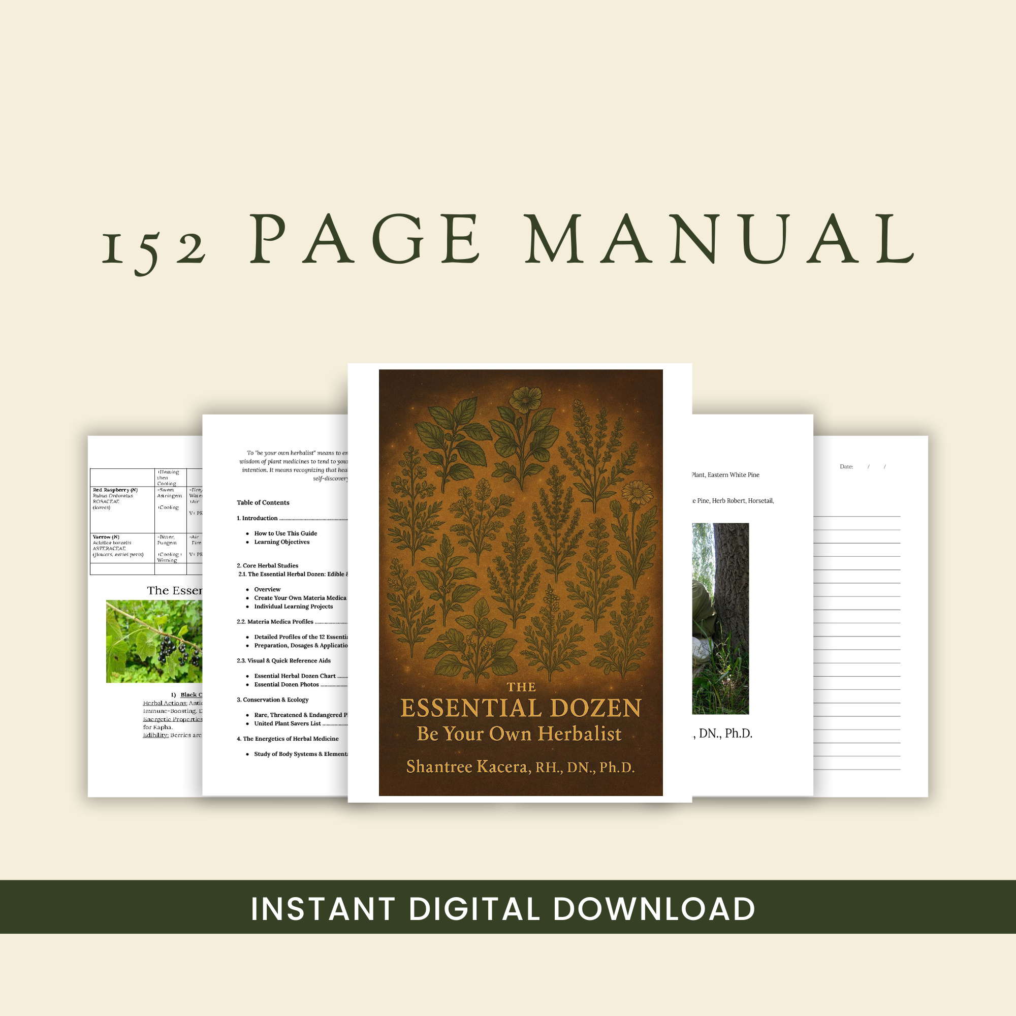 Beige%2BKhaki%2BJournal%2BPage%2Band%2BDownload%2BMockup%2BFacebook%2BPost%2B%25282000%2Bx%2B2000%2Bpx%2529.png