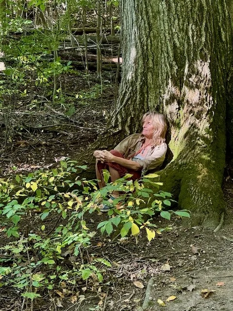Lor in forest.jpeg
