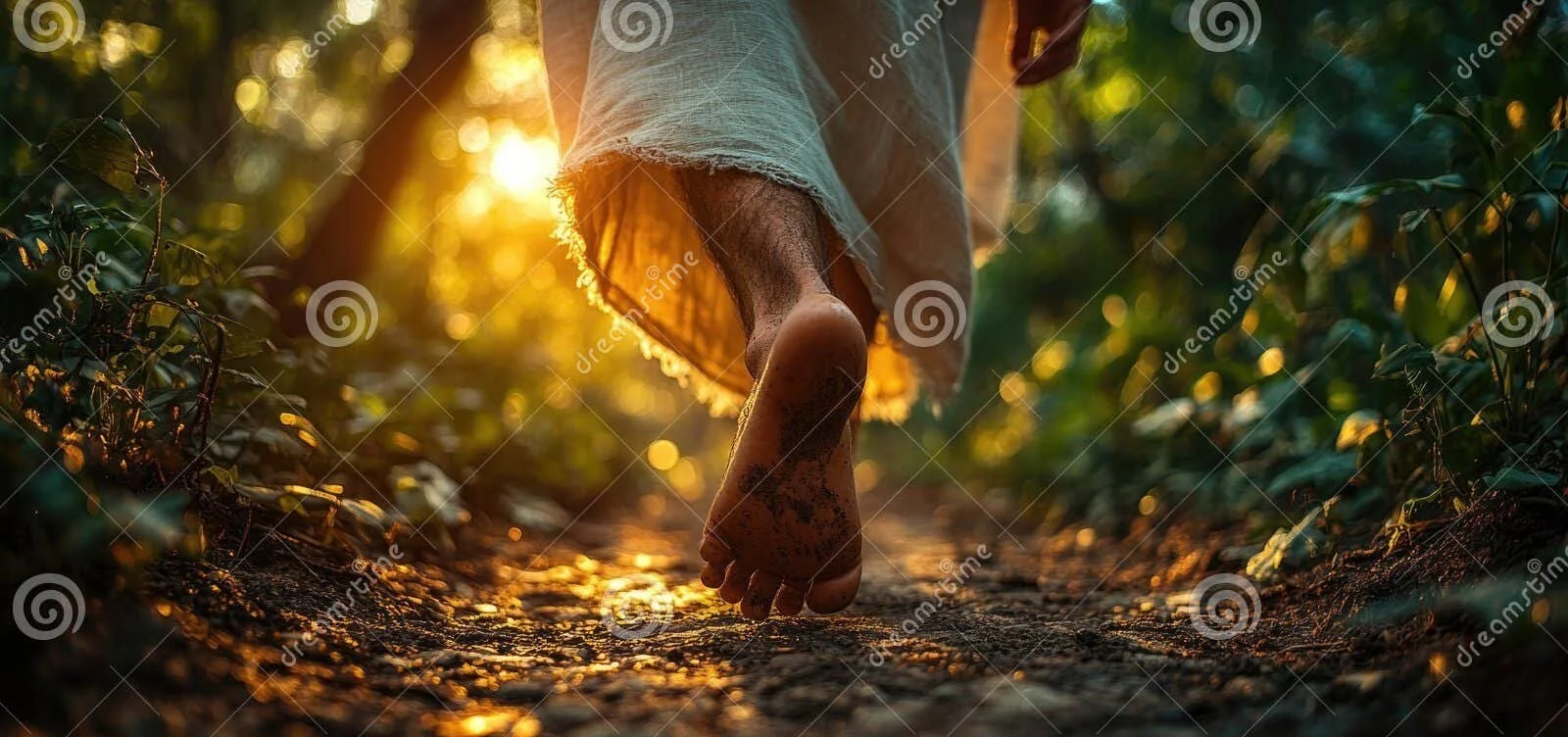 Tree Medicine Journey
