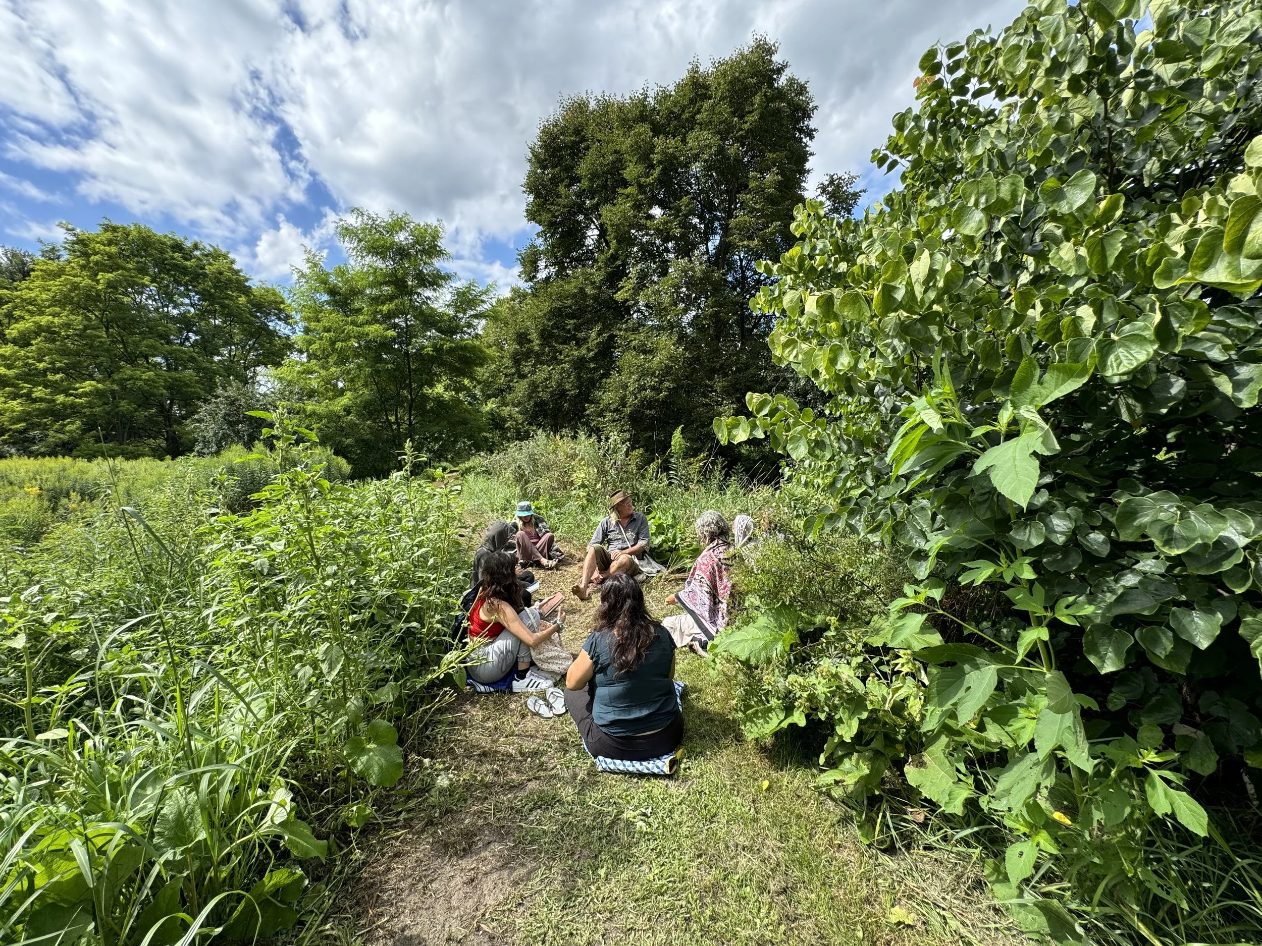 A group of people sitting in a circle on a narrow dirt path in a lush green garden or forest, surrounded by tall trees and dense foliage on a sunny day with scattered clouds.