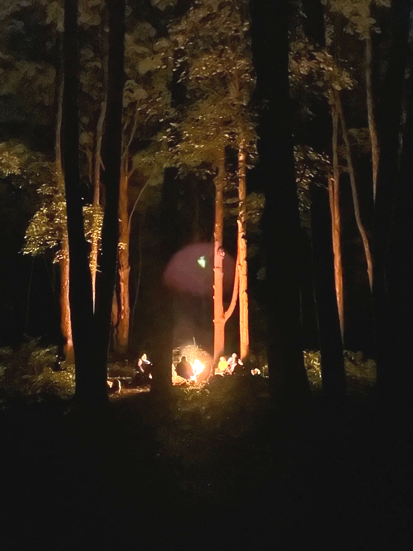 Sh Forest Gathering.png