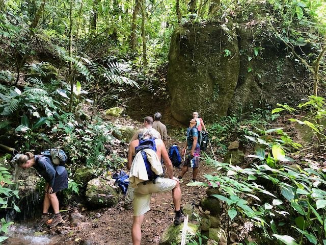Group of hikers walking through a dense forest with lush green foliage and large rocks.