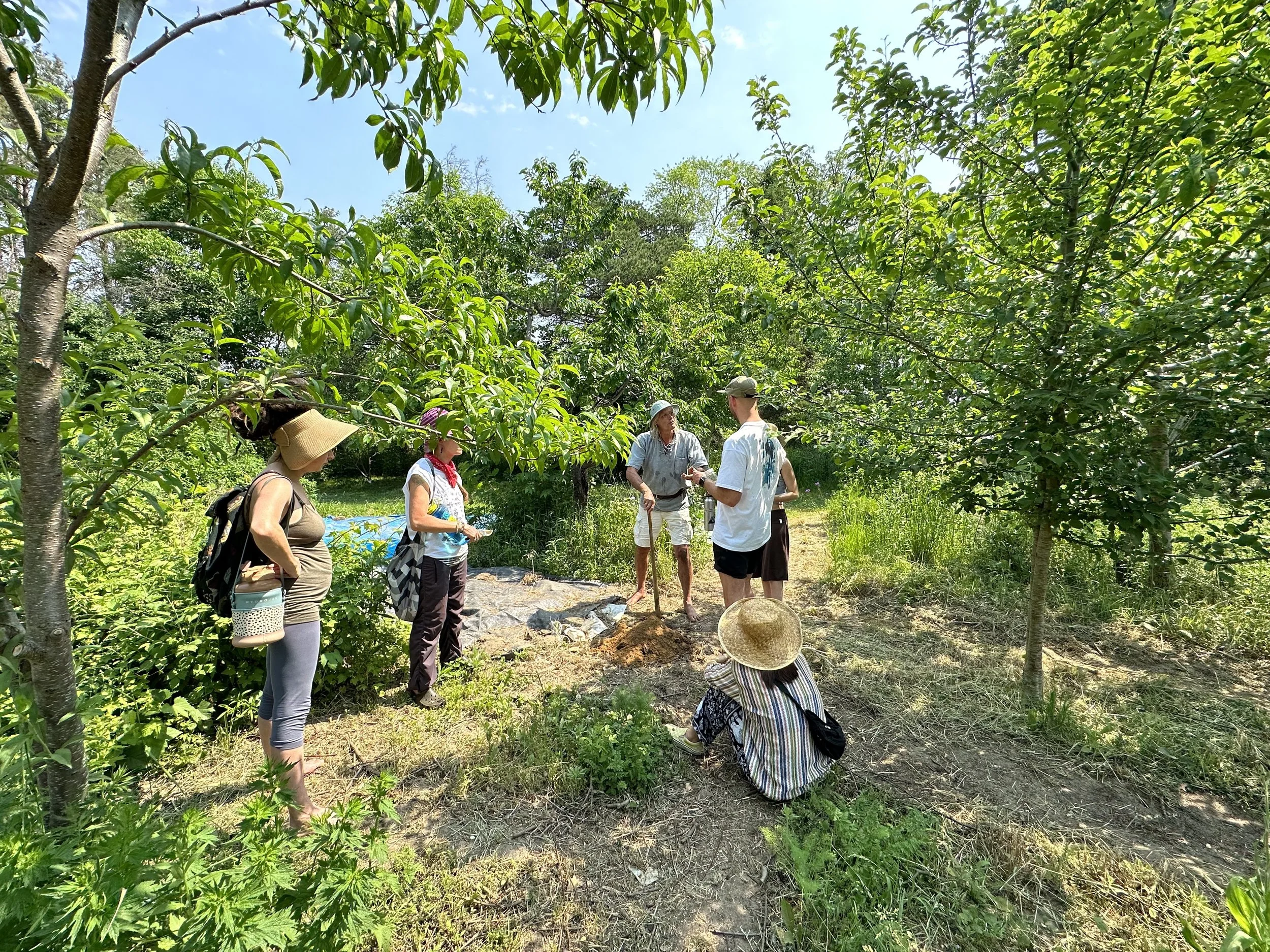 PDC FOREST GARDENS.jpeg
