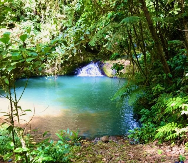 A small waterfall flowing into a clear blue-green pool surrounded by lush green foliage.