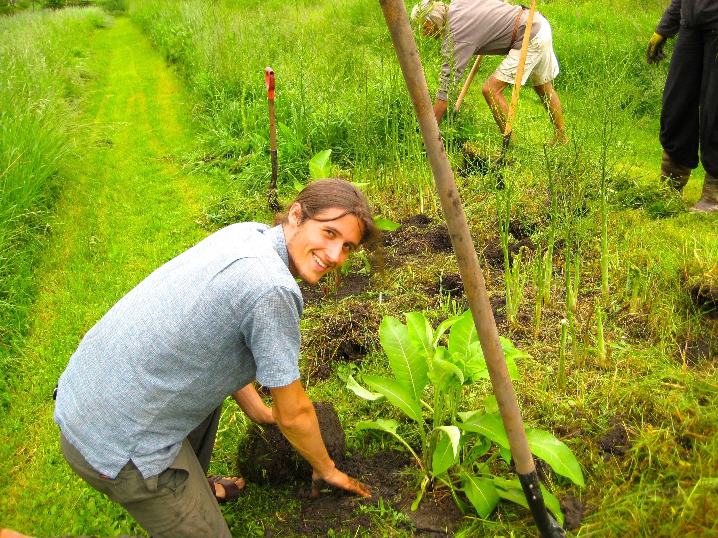 PDC GARDEN POLY.jpg