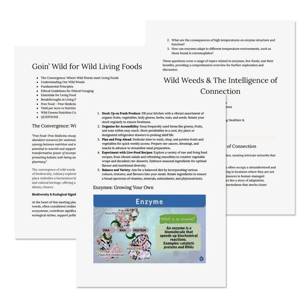 wild-weeds-manual-exerpts.jpg