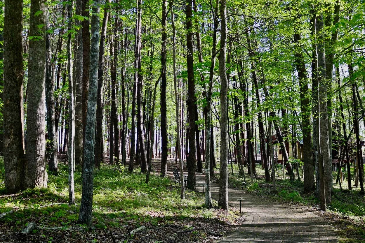Spring Pryer PERSONAL RETREAT — St. Francis Springs Prayer Center