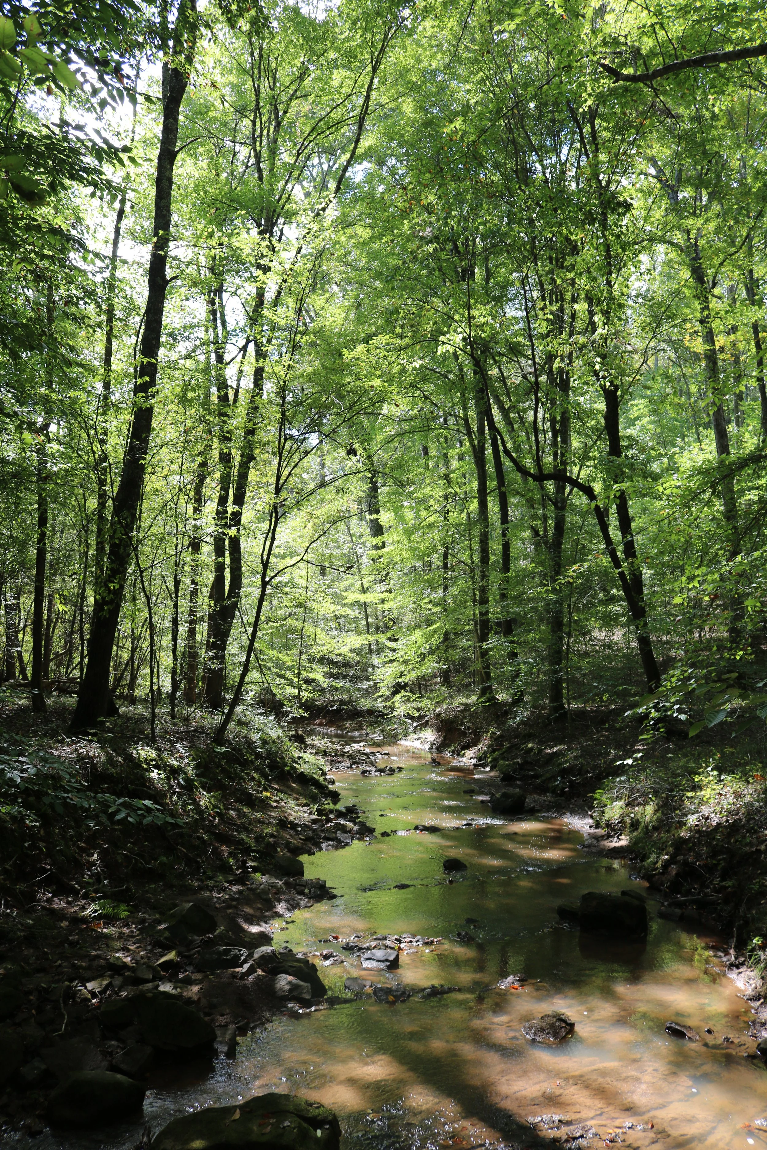 The Holy Pause: Nourishment for the Journey