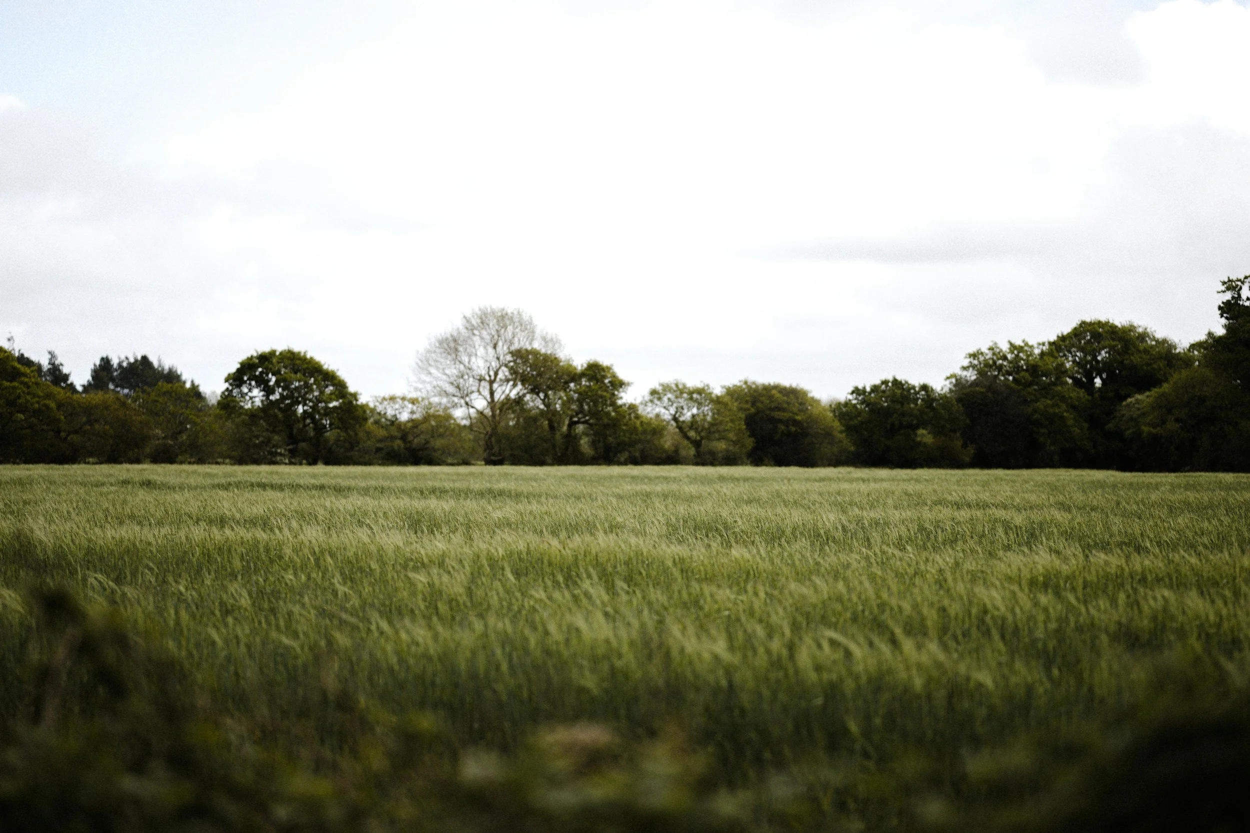 Created for Joy, Overshadowed by Mercy: Thomas Merton Retreat