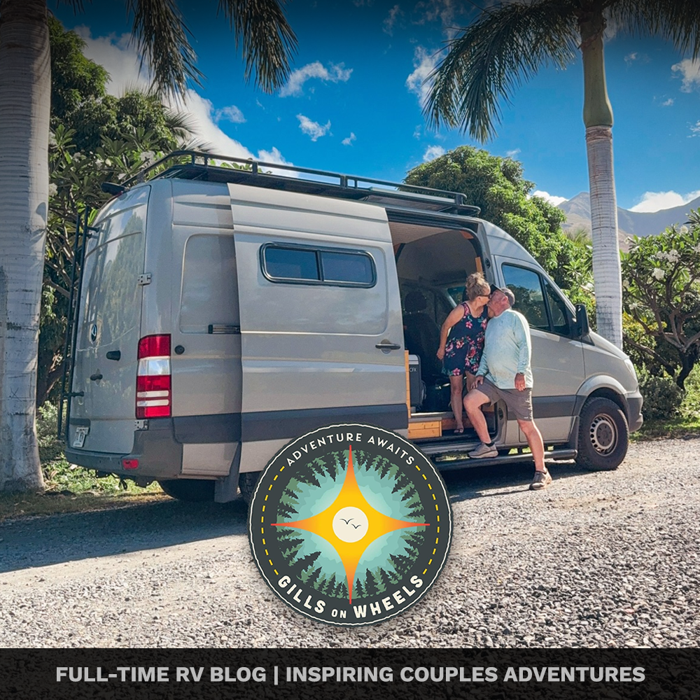 A couple with gray hair standing outside a gray camper van, sharing a kiss in a tropical setting with palm trees and mountains in the background, under a bright blue sky with clouds.