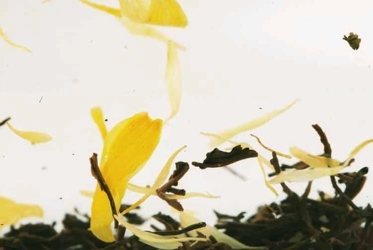 Tea film edit - 106.jpg