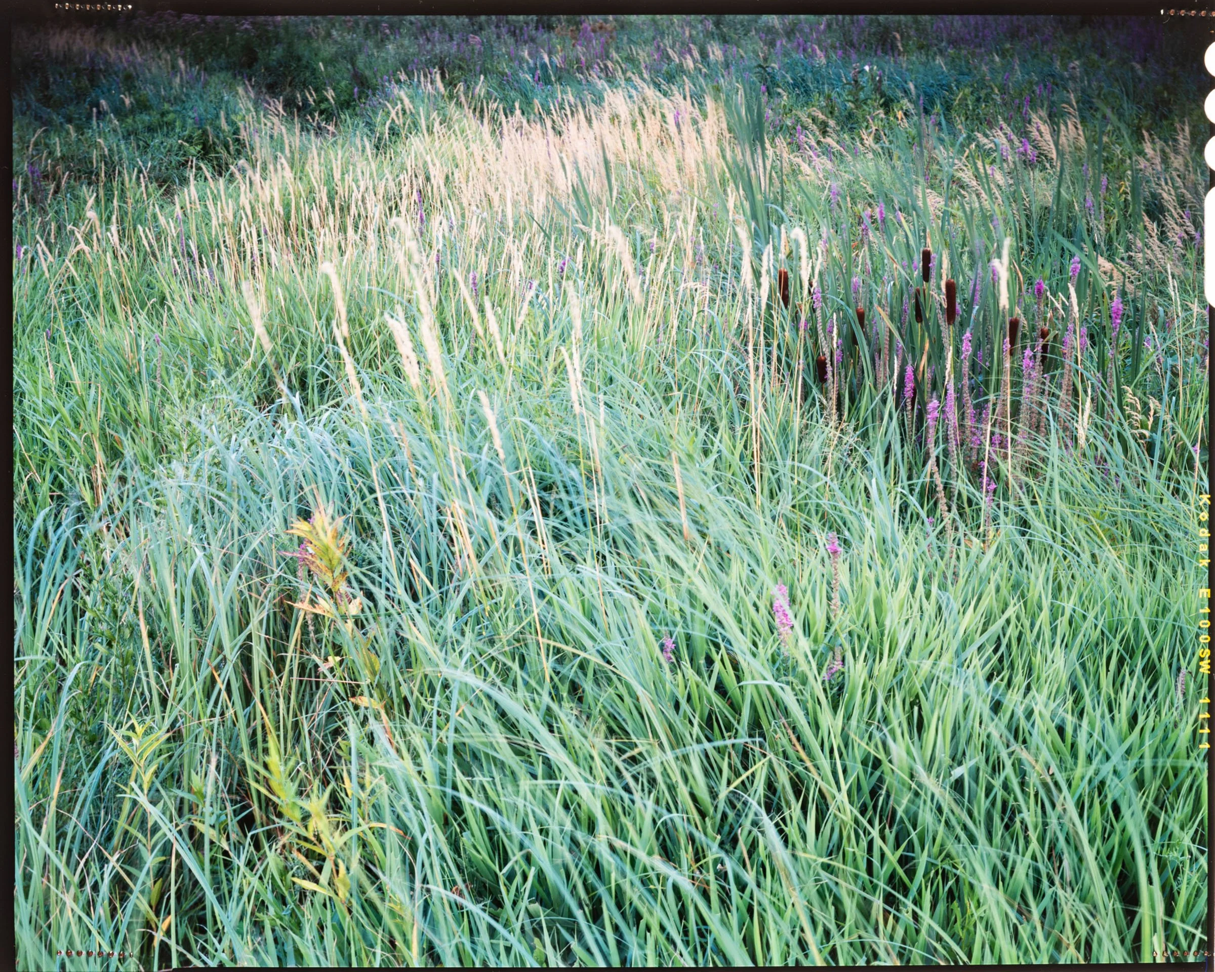 20140101-Authenticity by FS-181.jpg