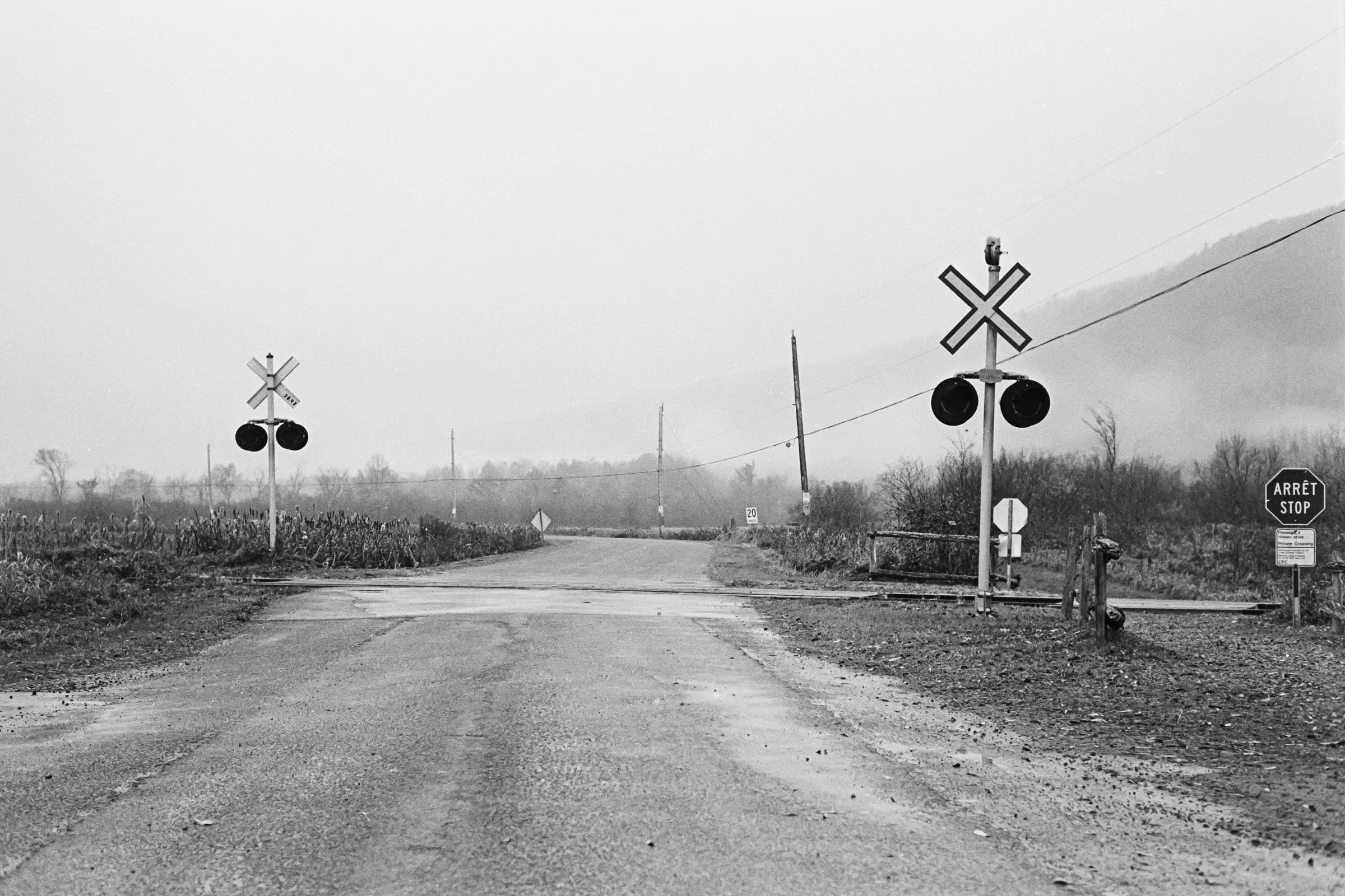 20241126-2JK-Quebec_Cap-Tourmente_BW33mm HR-24.jpg