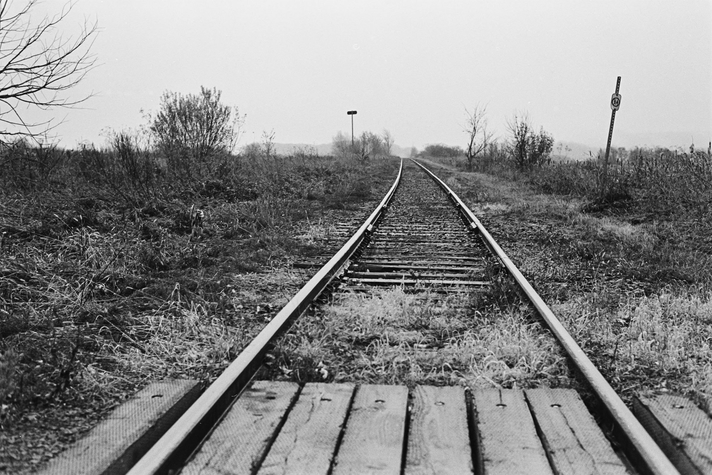 20241126-JK-Quebec_Cap-Tourmente_BW33mm HR-17.jpg