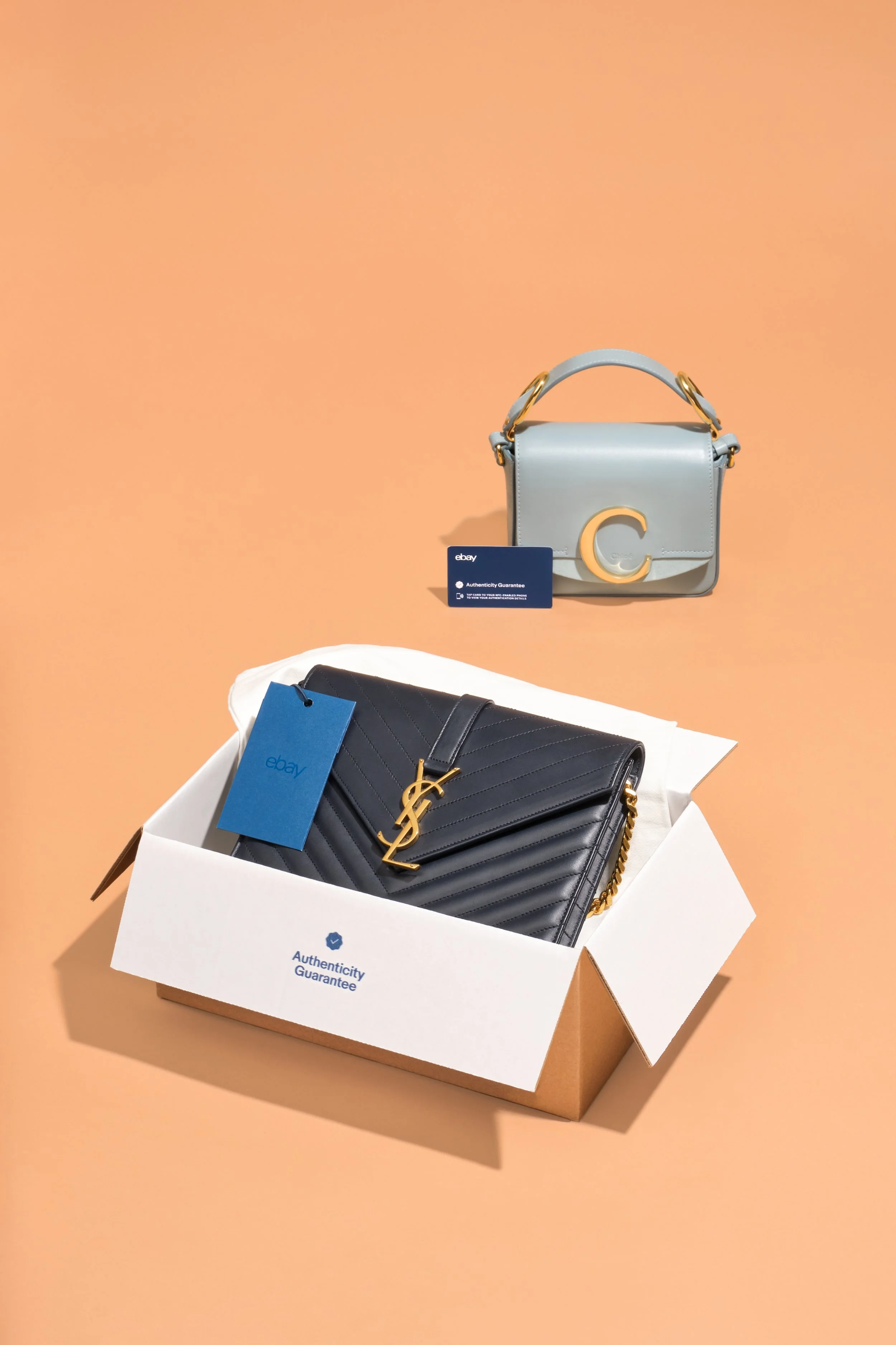210521_eBay_Handbag_Shoot_AG_Packaging_1_047_v2.jpg