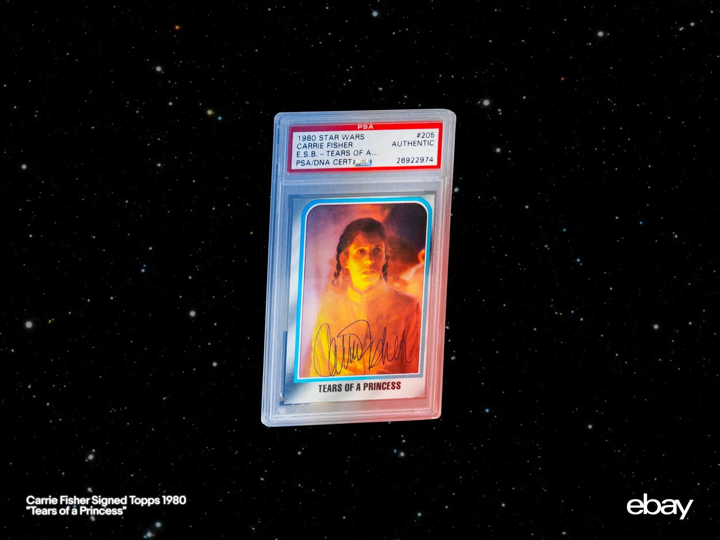 Product Listing - 1920x1440 - Light-Card.jpg