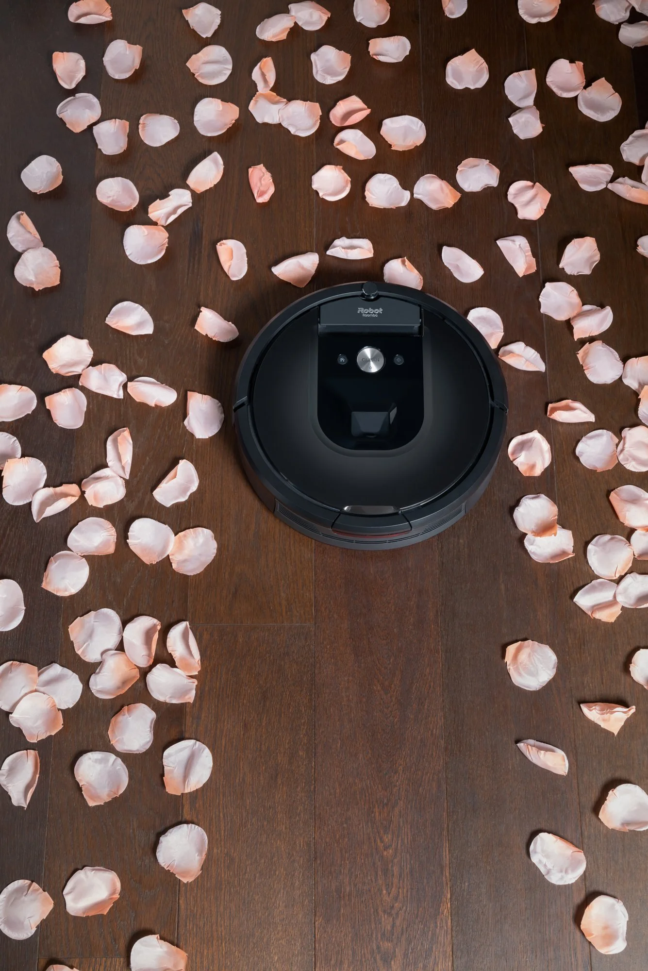 L1020154_Roomba-2.jpg