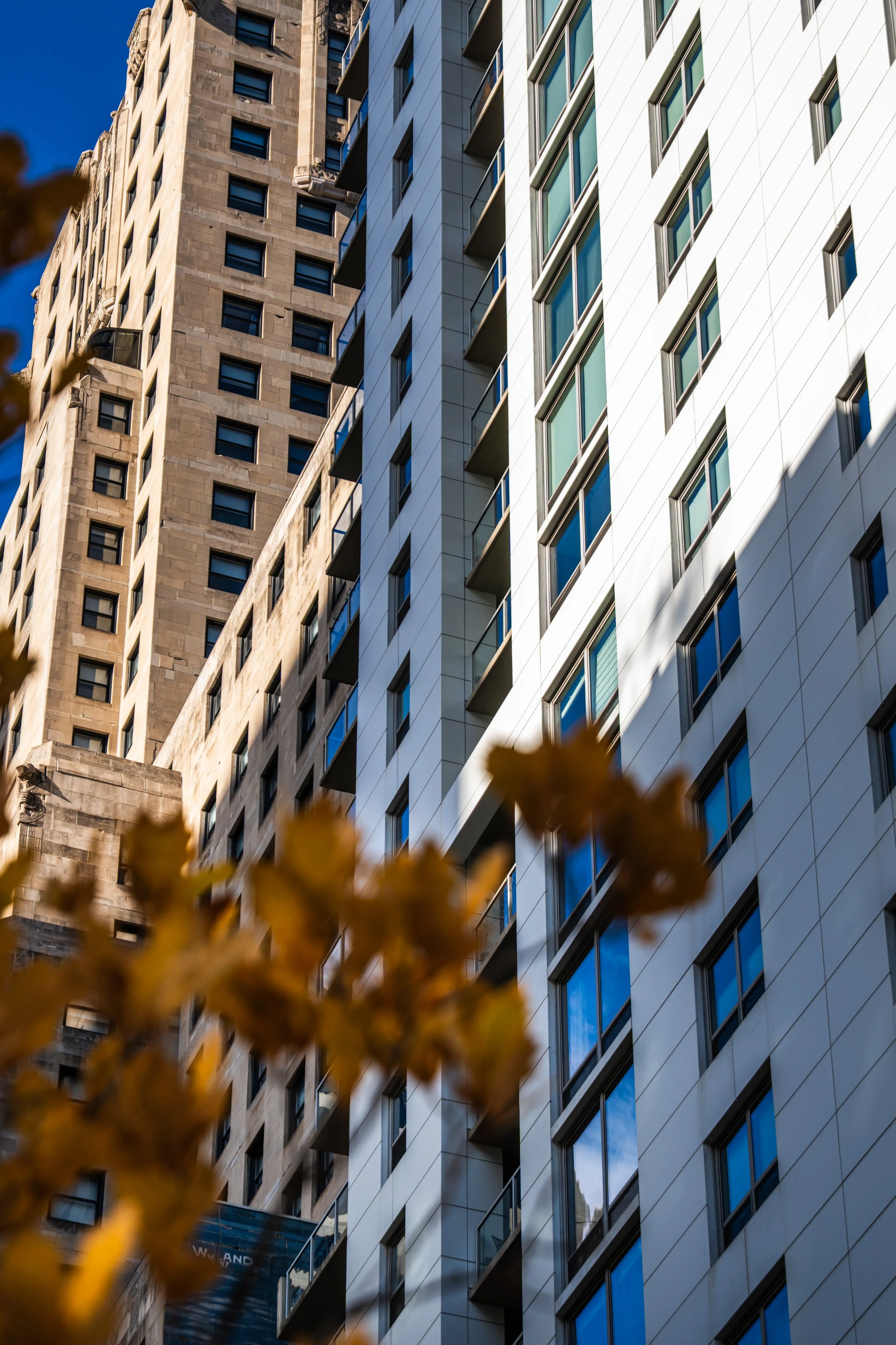 Final Exports-067.jpg