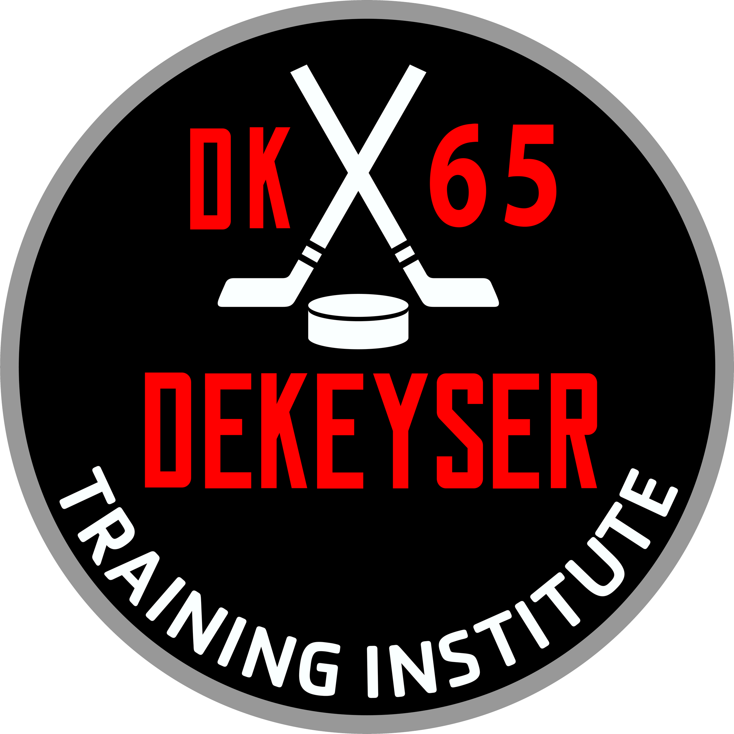 Close-up image of a circular sticker with a black background, gray outer border, white inner border, and red text that reads 'IKX 65'.