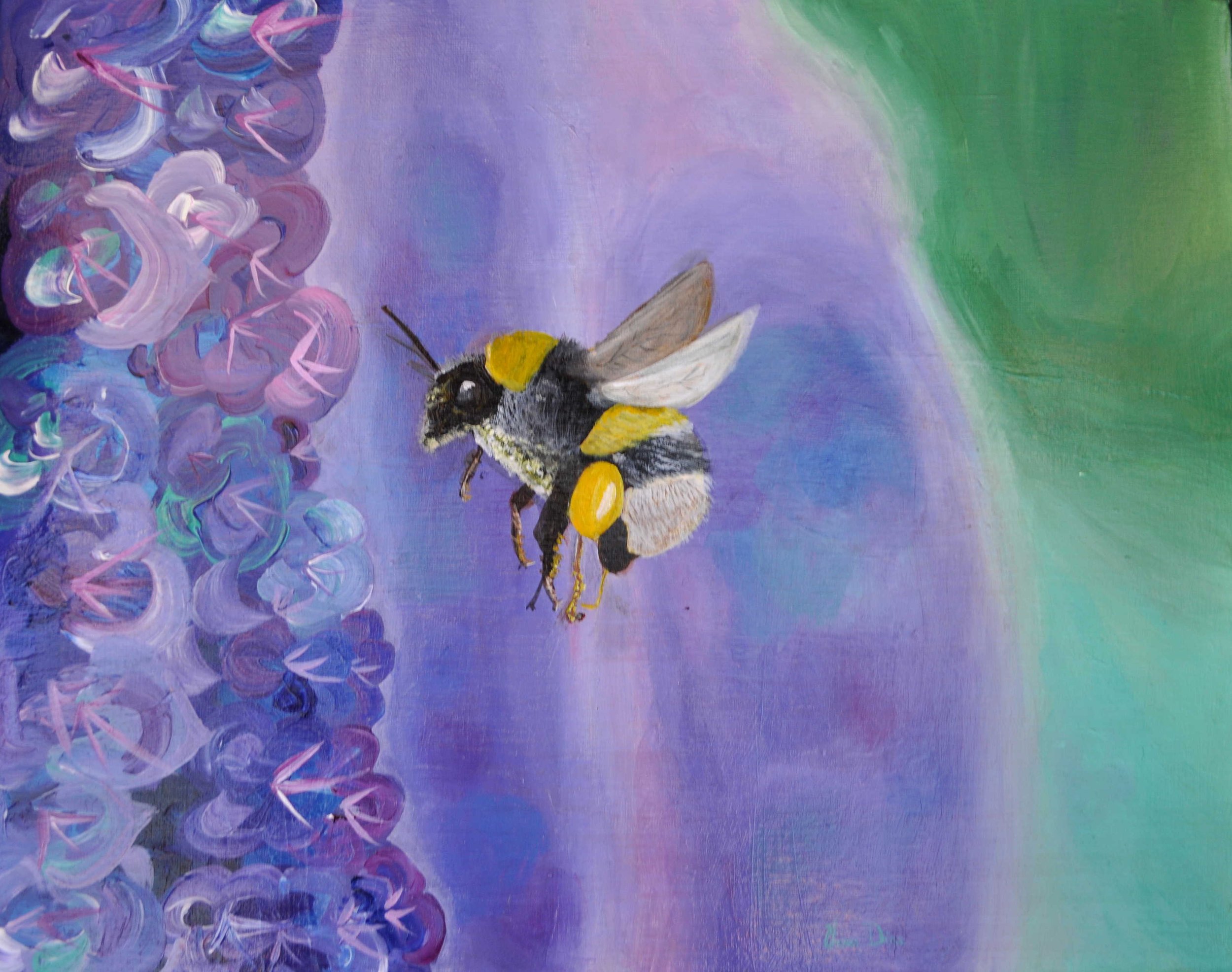 Bumble bee and Delphinium flowers_s.jpeg