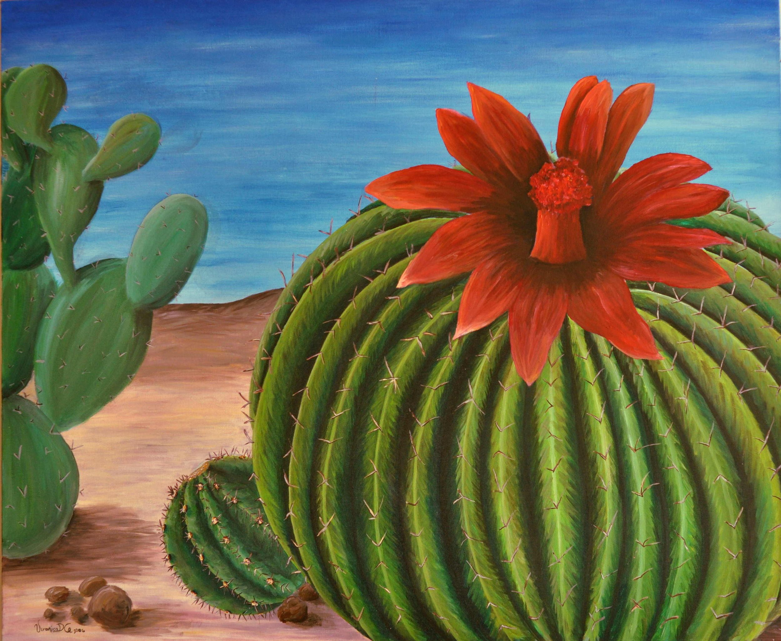 2008_Biznaga Cactus.jpeg