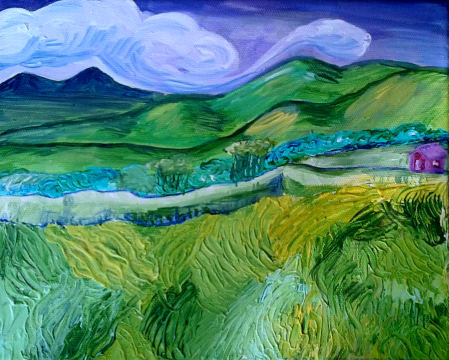 colourful fields_vero.png