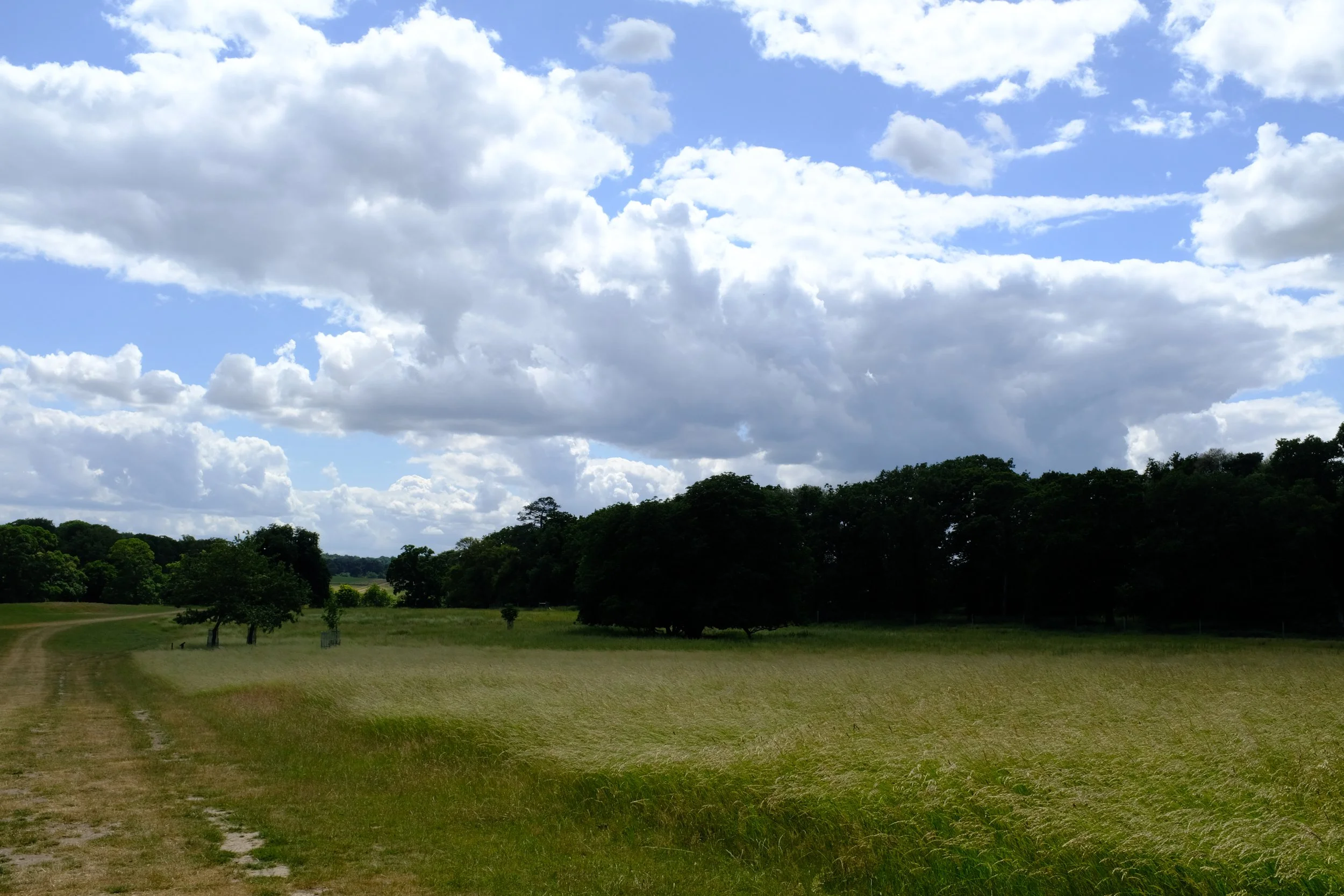 DSCF3357.JPG