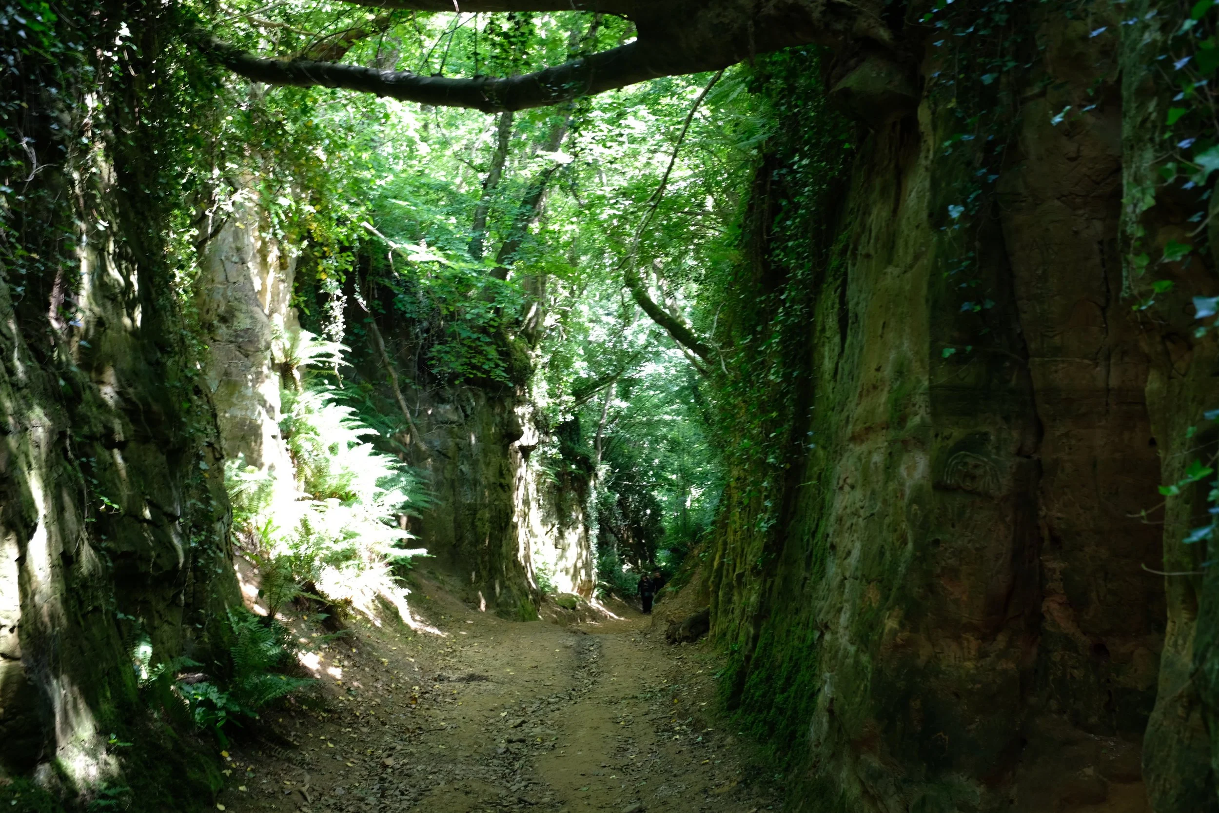DSCF5853.JPG