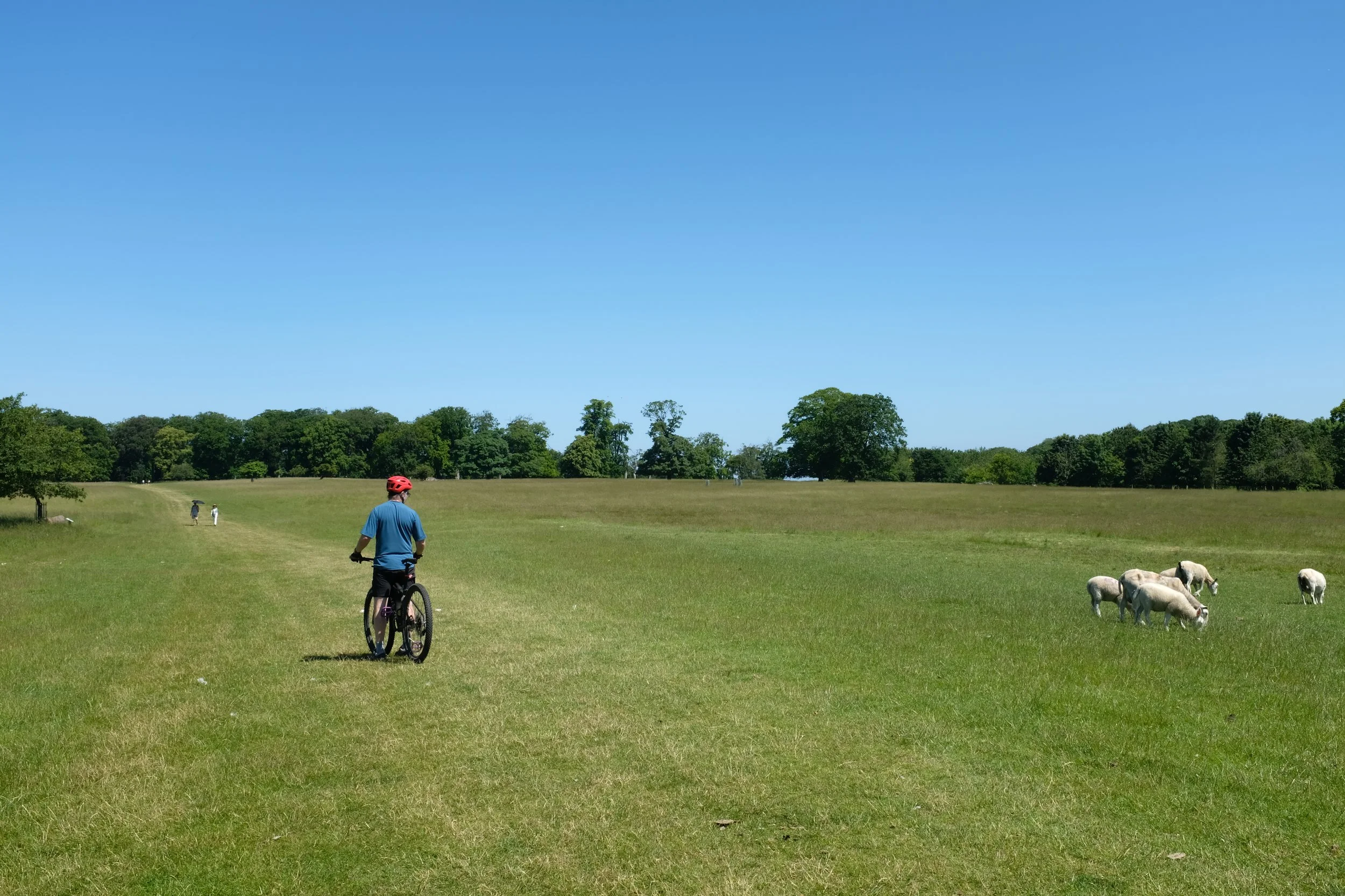 DSCF5964.JPG