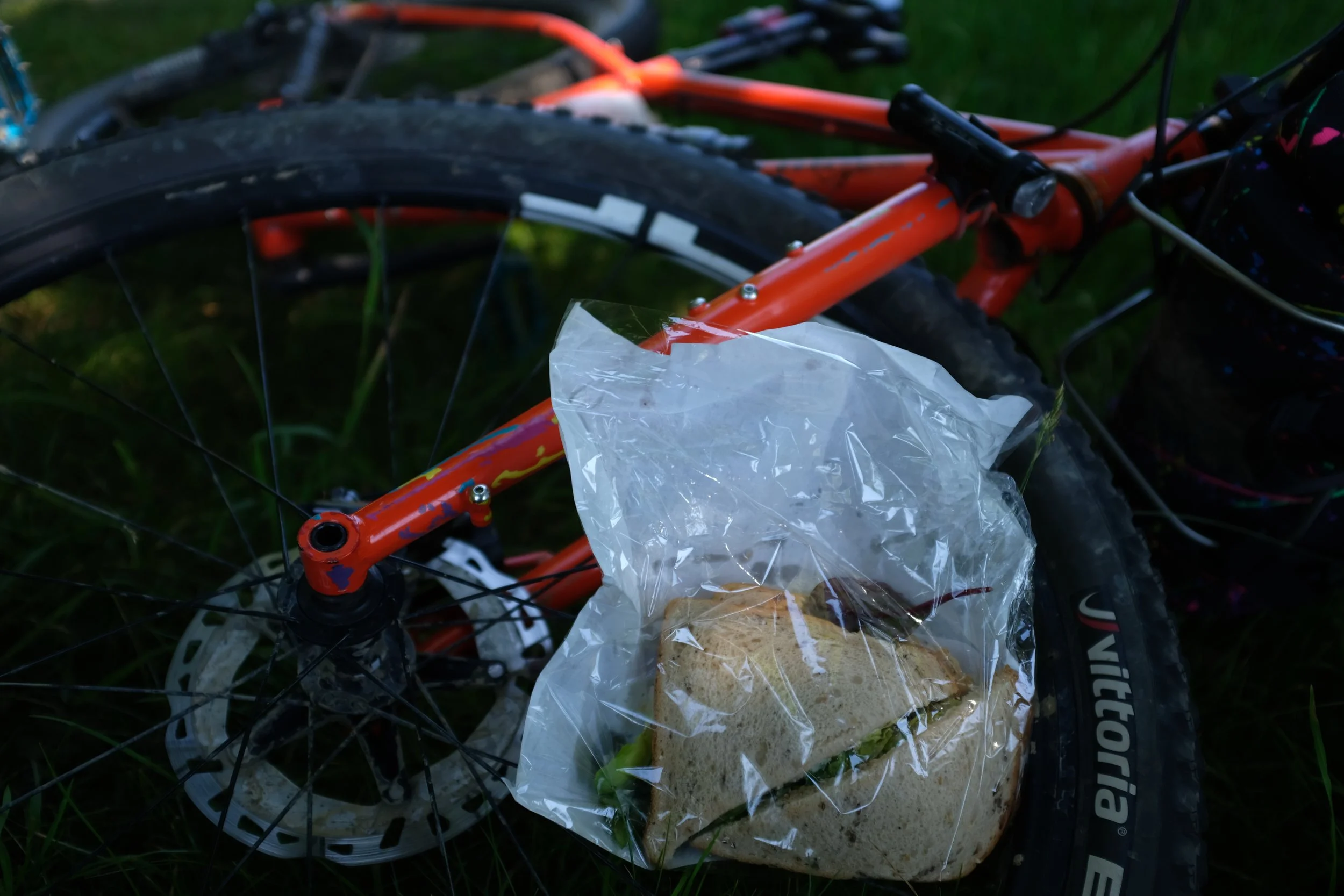 DSCF5985.JPG