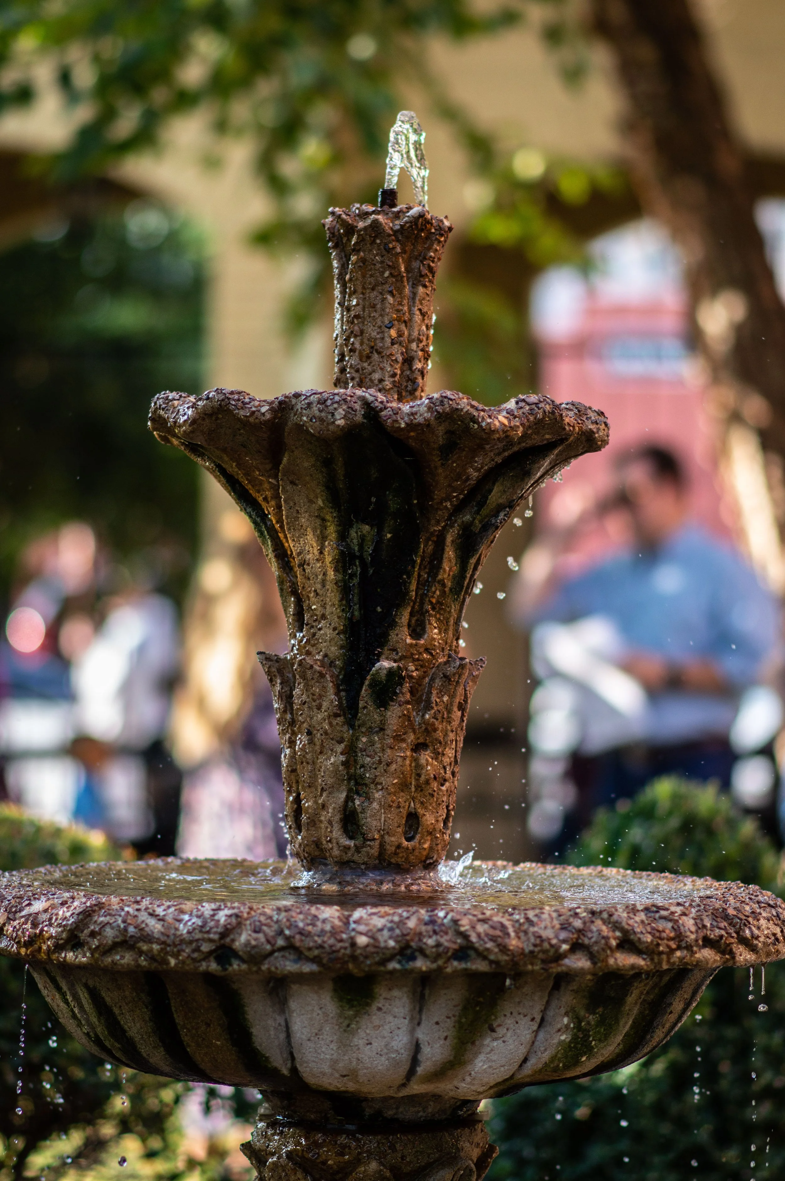 fountain.jpg