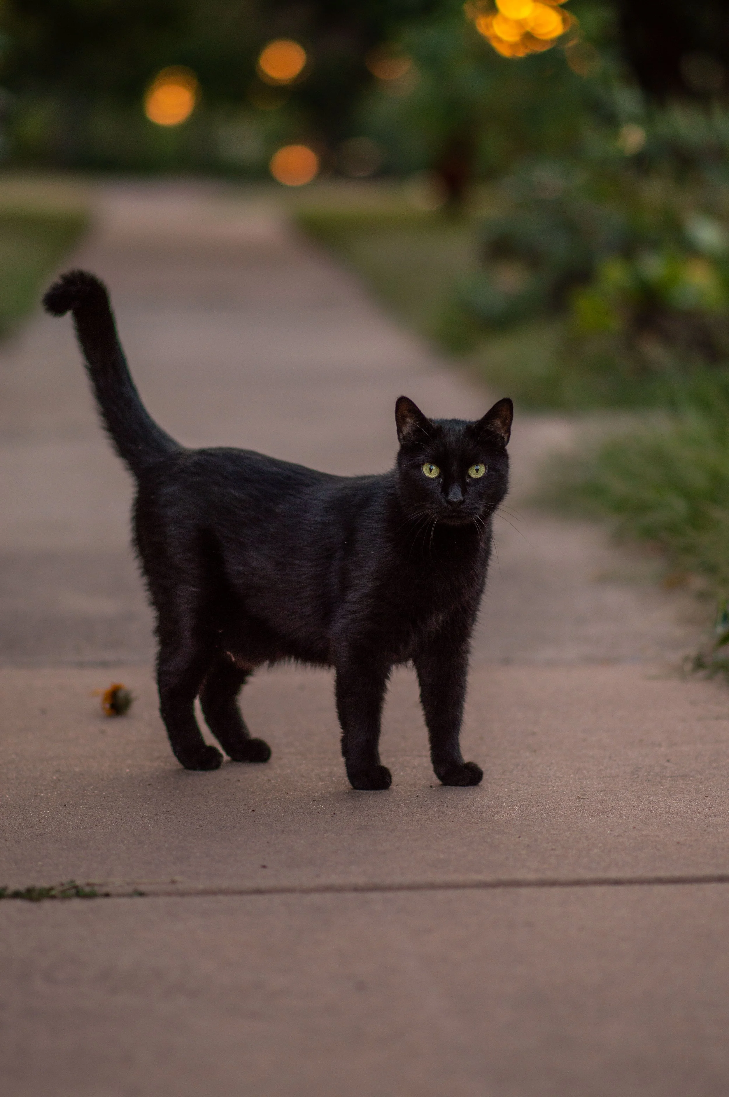 DSC_0465.jpg