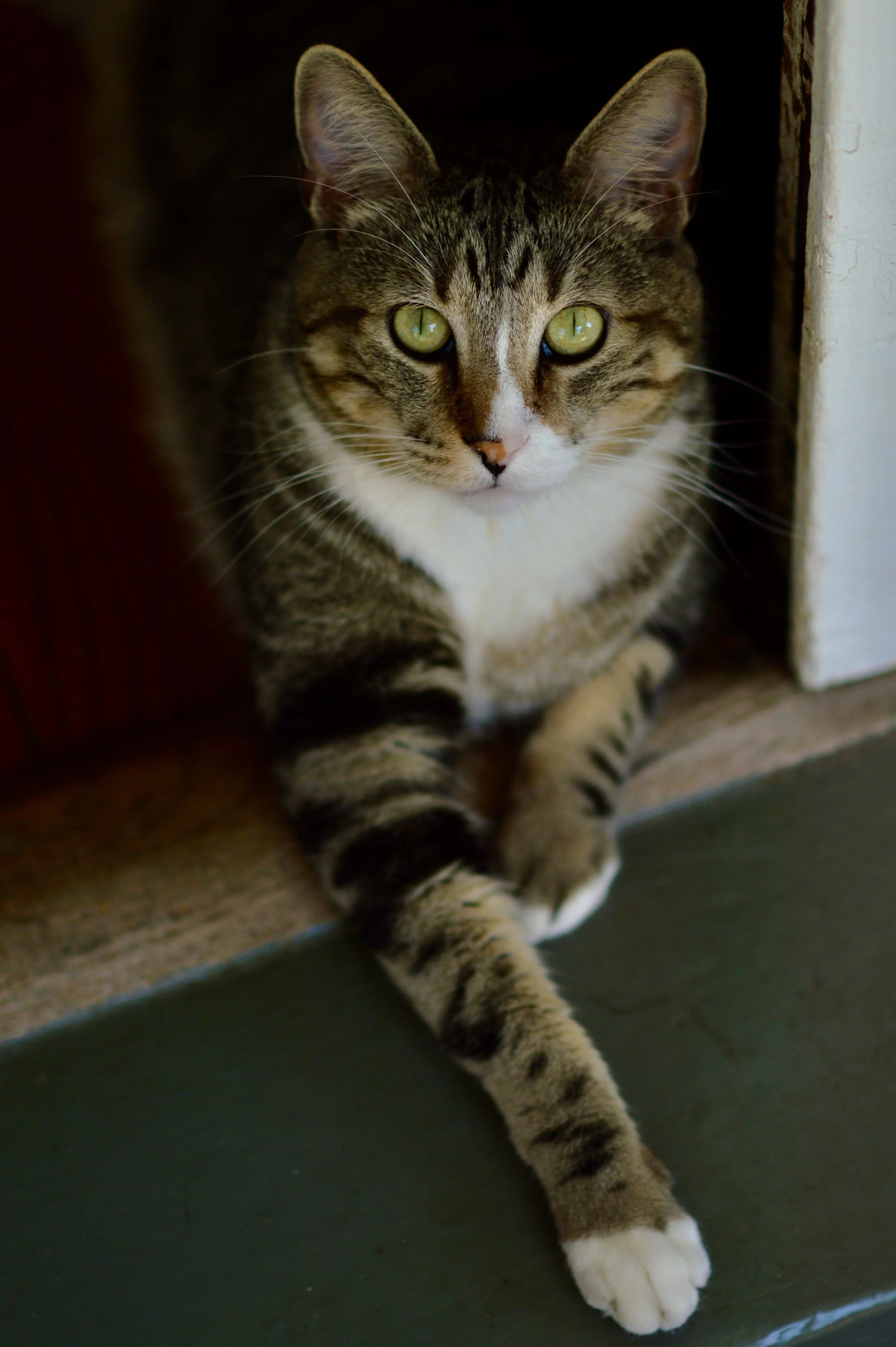 DSC_0607.JPG