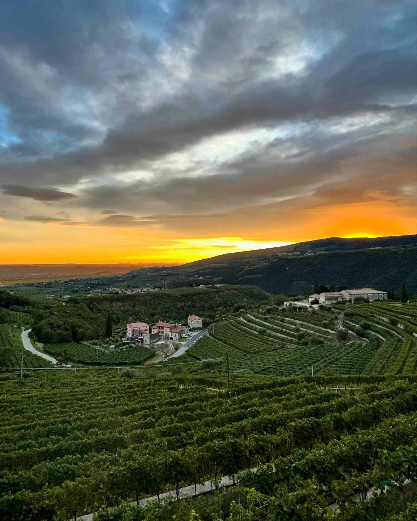 Yesterday it was the first day of harvest for our friends at @corte_bravi. To repay them for the hard work, mother nature put on one of her best show of the year, with clear skies, cool breeze, and gorgeous colors. From the higher reaches of Valpolic