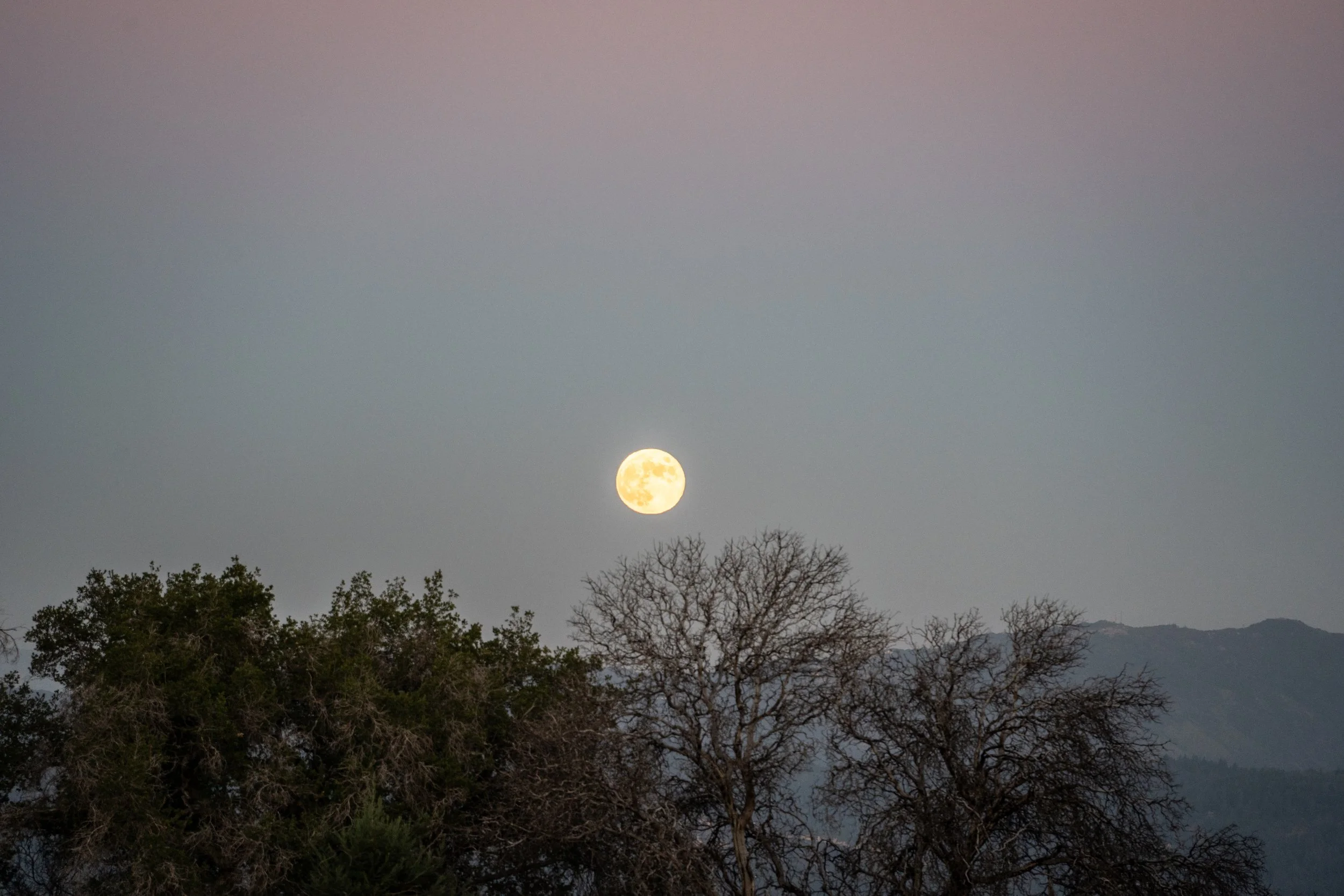cole-ranch-moon.jpg