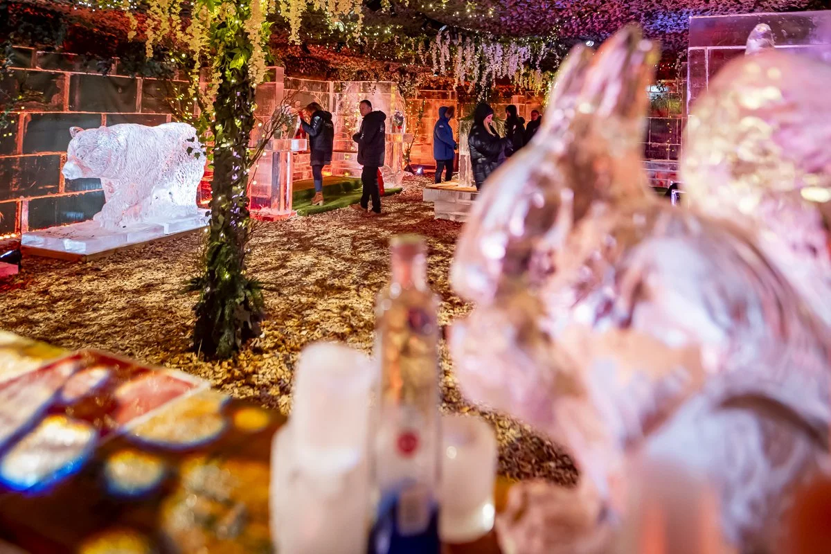 raOgThRMO0WDFQV0VvAOMwbSyBHPRvr8UzknRejv.jpg