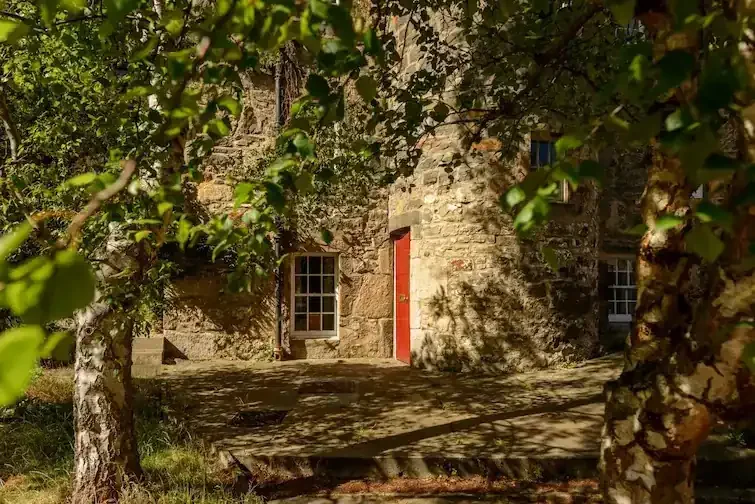 A Red door surrounded by a foreground of leaves