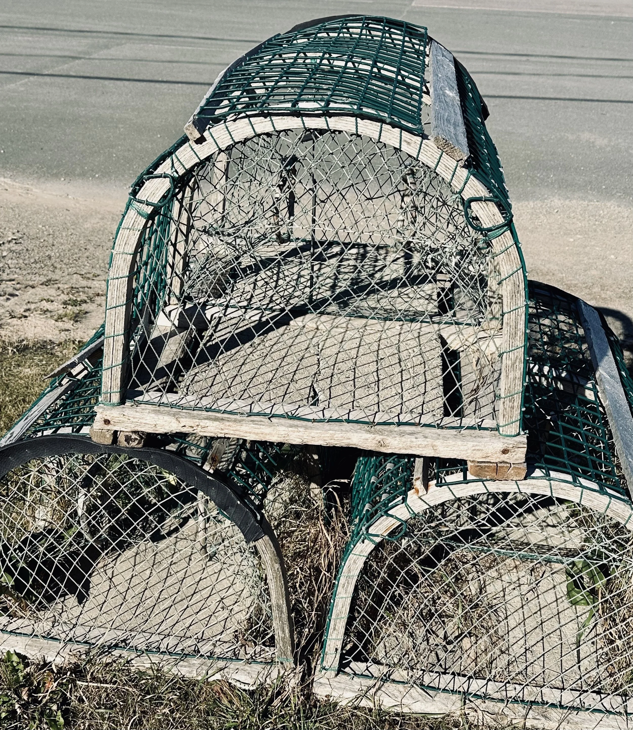 Lobsters and St. Lawrence