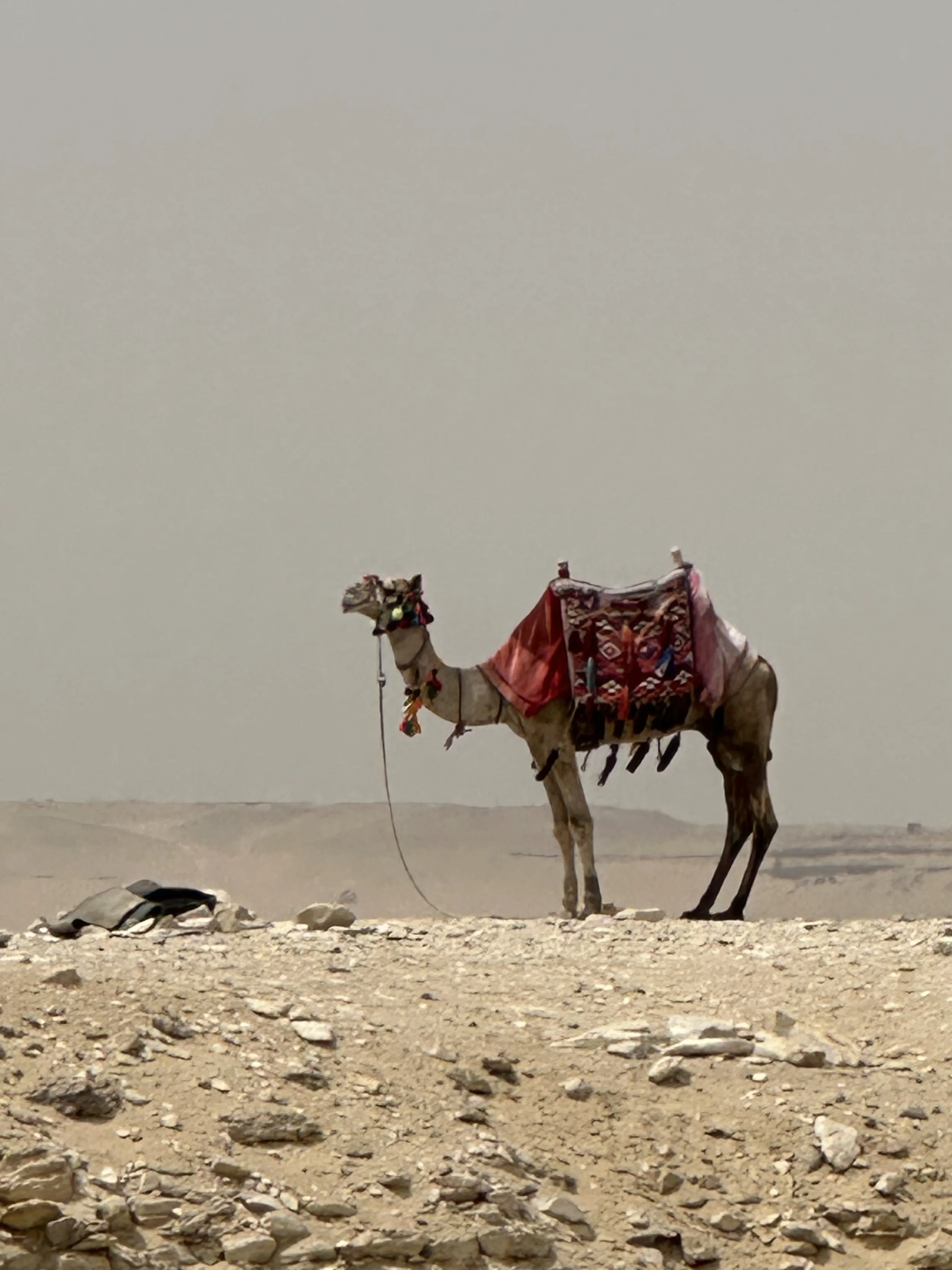 Egypt and the Sands of Time