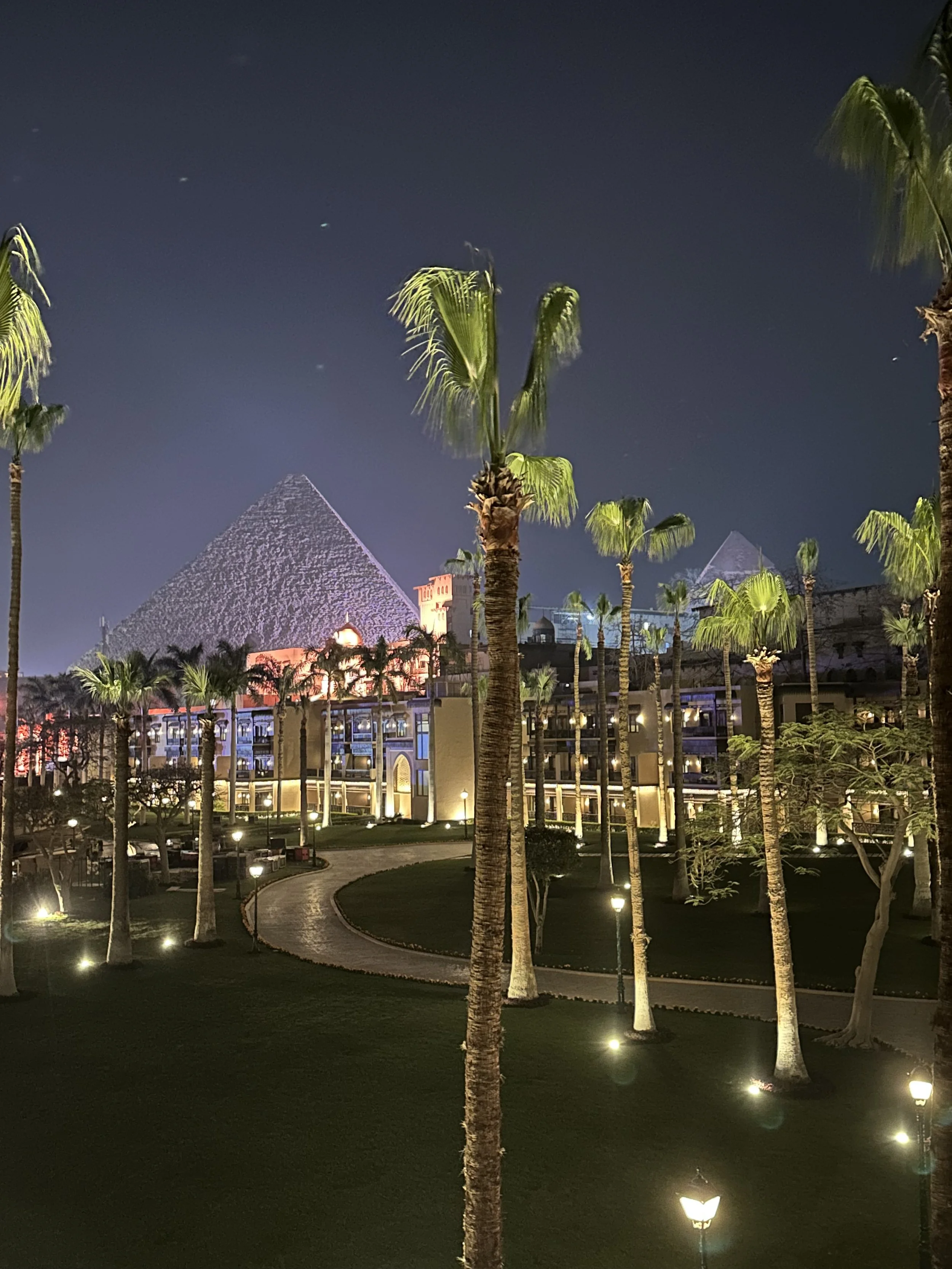 Midnight at the Oasis